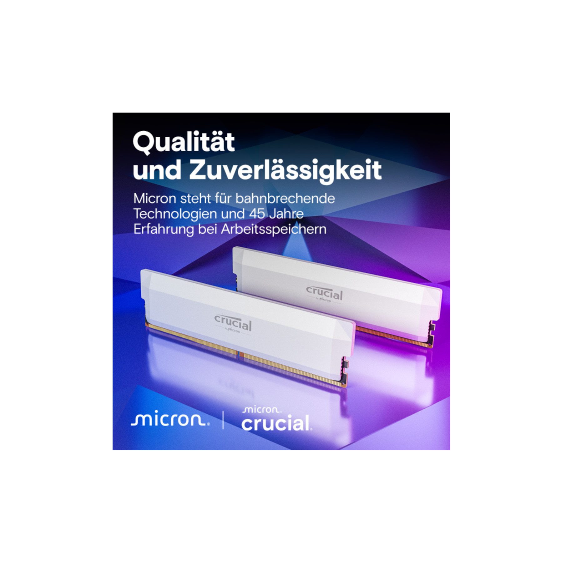 Crucial CP2K32G60C40U5W Arbeitsspeicher