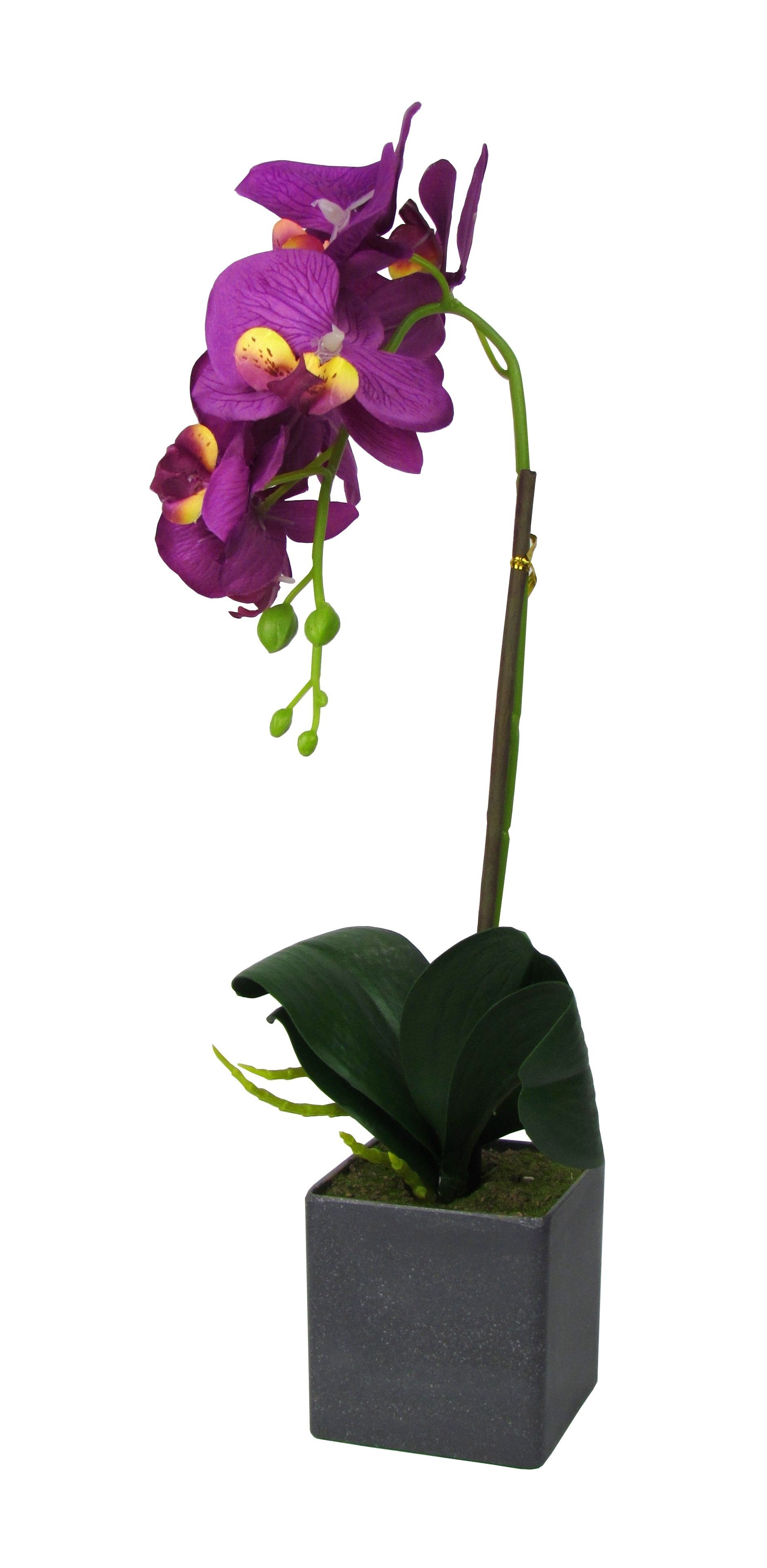 Kunstblume Kunst Orchidee im rechteckigen Topf – Farbecht - Pflegeleicht Orchidee, Ibergarden, Höhe 40 cm, Verschiedene Farben und Größen