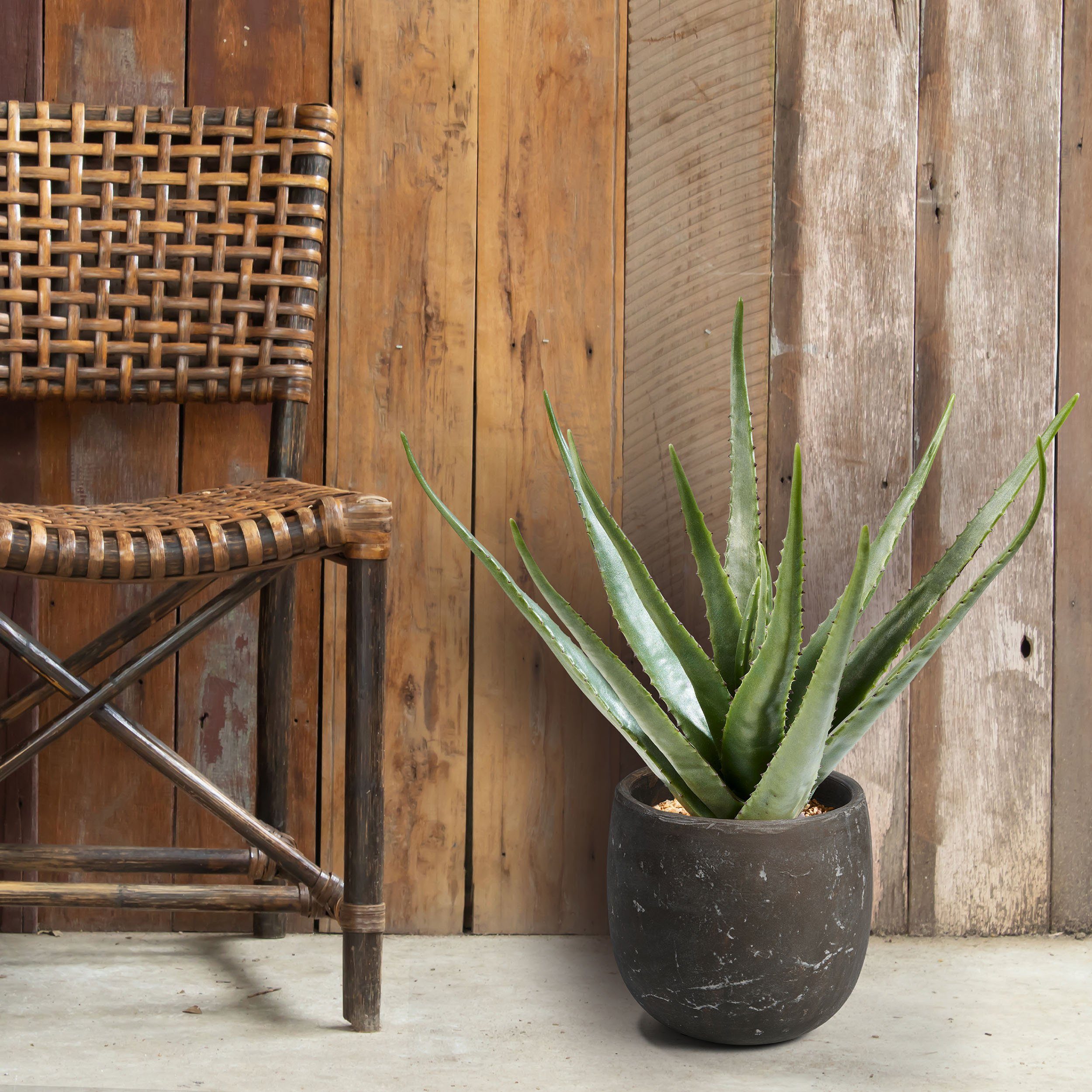 Höhe Dekopflanze home, 50 cm Kunstpflanze Realistische Dekopflanze, Kunstpflanze cm 50 Amare Aloe