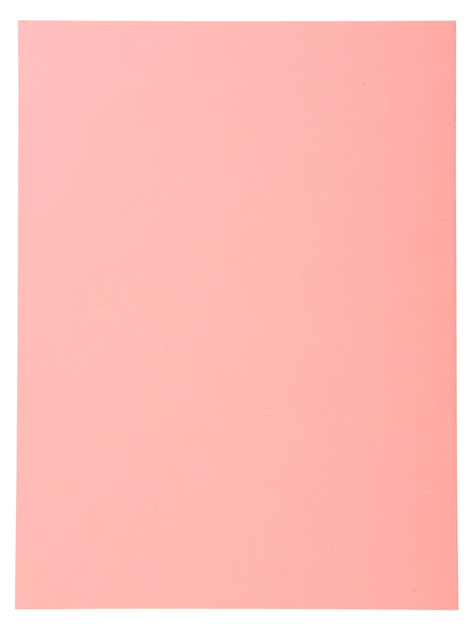 EXACOMPTA Organisationsmappe 5x Pack 100 Aktendeckeln Recycling 220g A4 - Rosa - 410003E, Aktendeckel