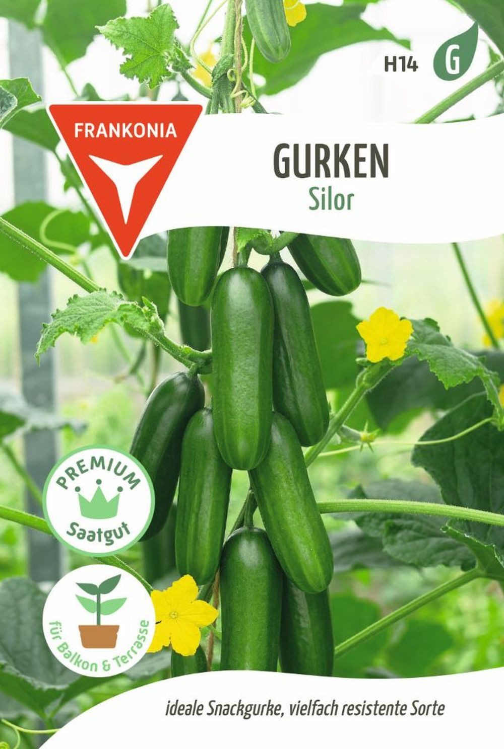 FRANKONIA Gemüsesamen Gurke, Silor F1 - Gurken-Samen Saatgut Samen, Cucumis sativus