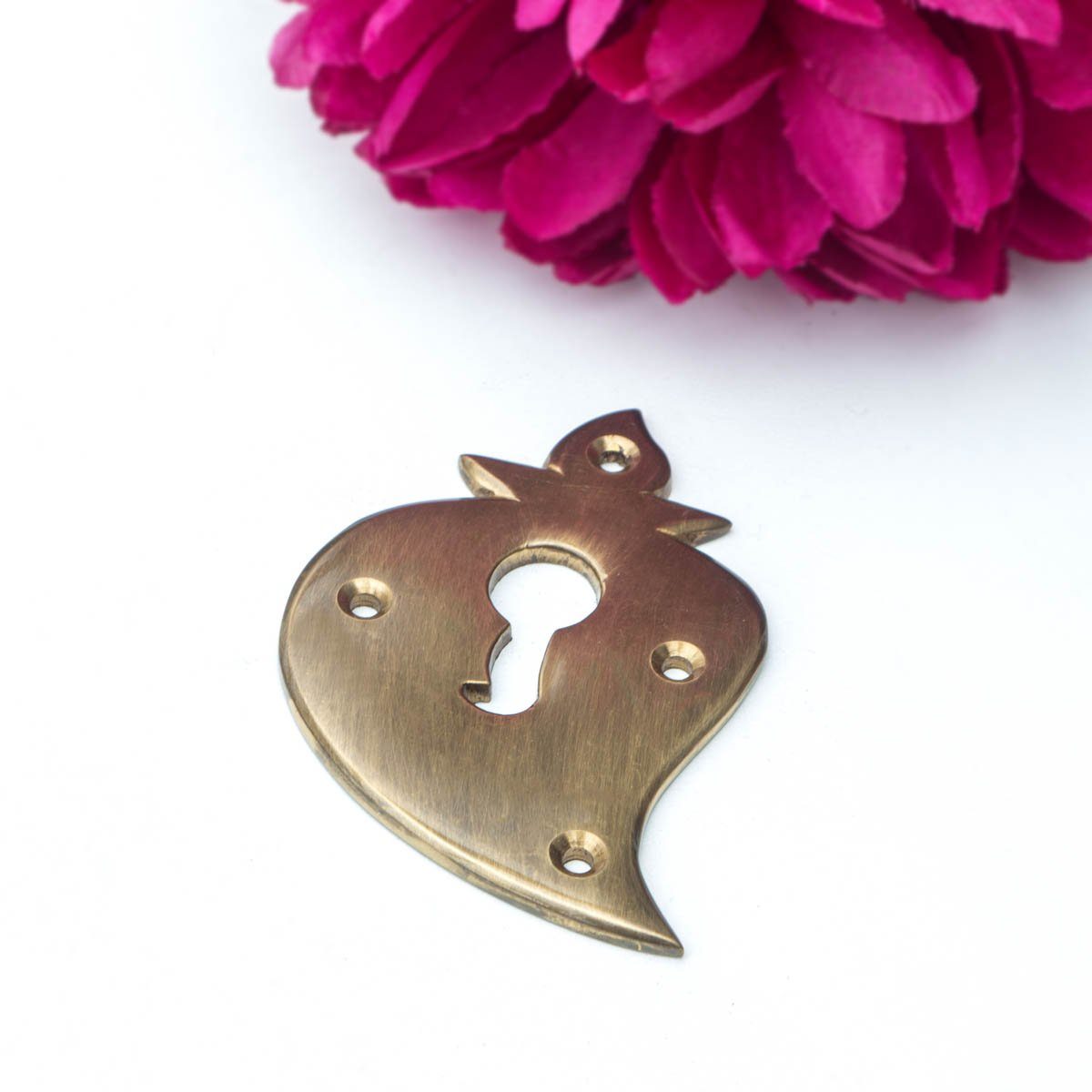 Antikas Türbeschlag Schlüsselrosette für Haus- & Zimmertüren(einzeln), PZ+BB, Messing