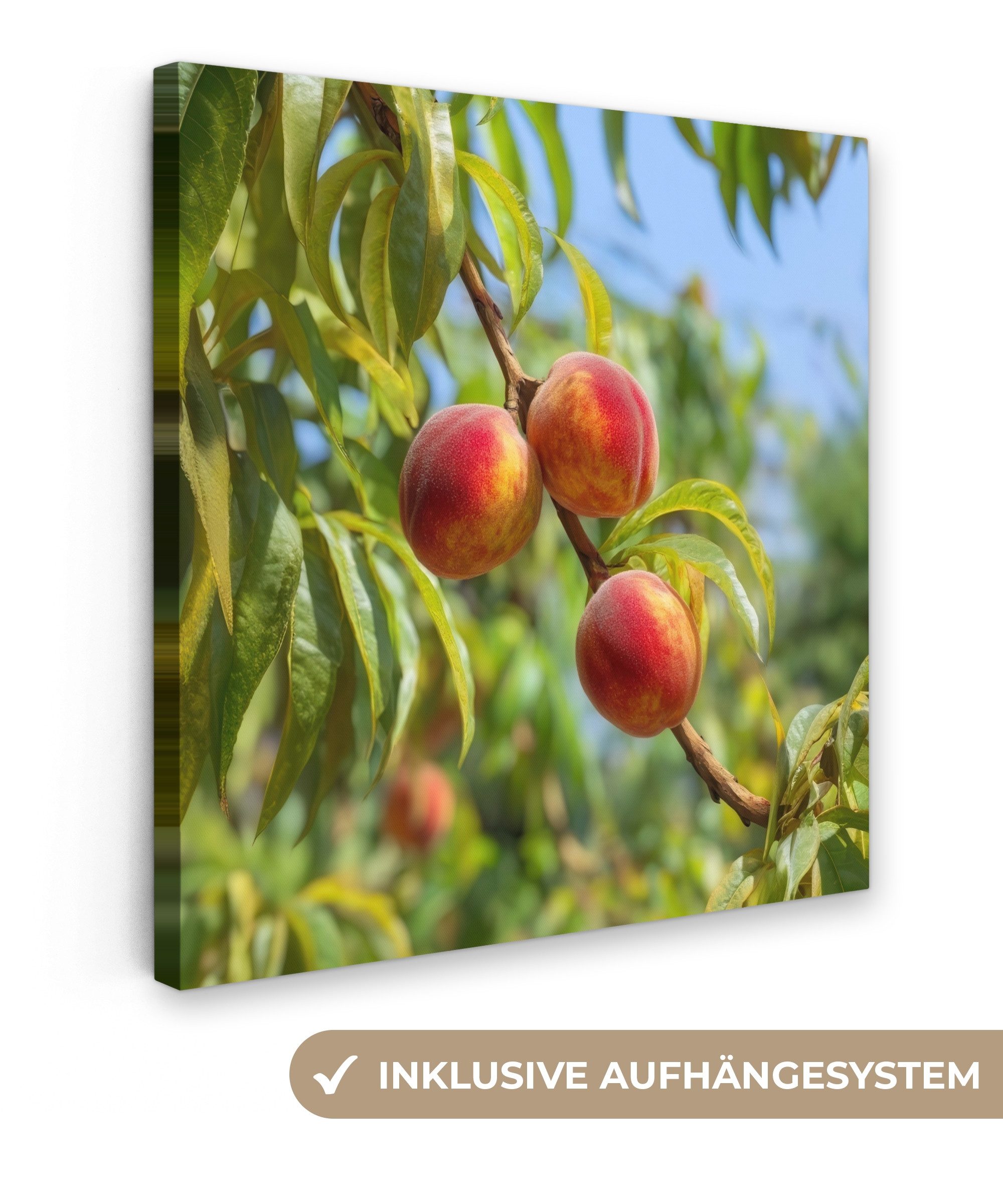 OneMillionCanvasses® Leinwandbild Pfirsich - Blätter - Sonnenlicht, Fotodruck (1 St), Wandbild, Deko Schlafzimmer Wohnzimmer Flur 20x20 cm