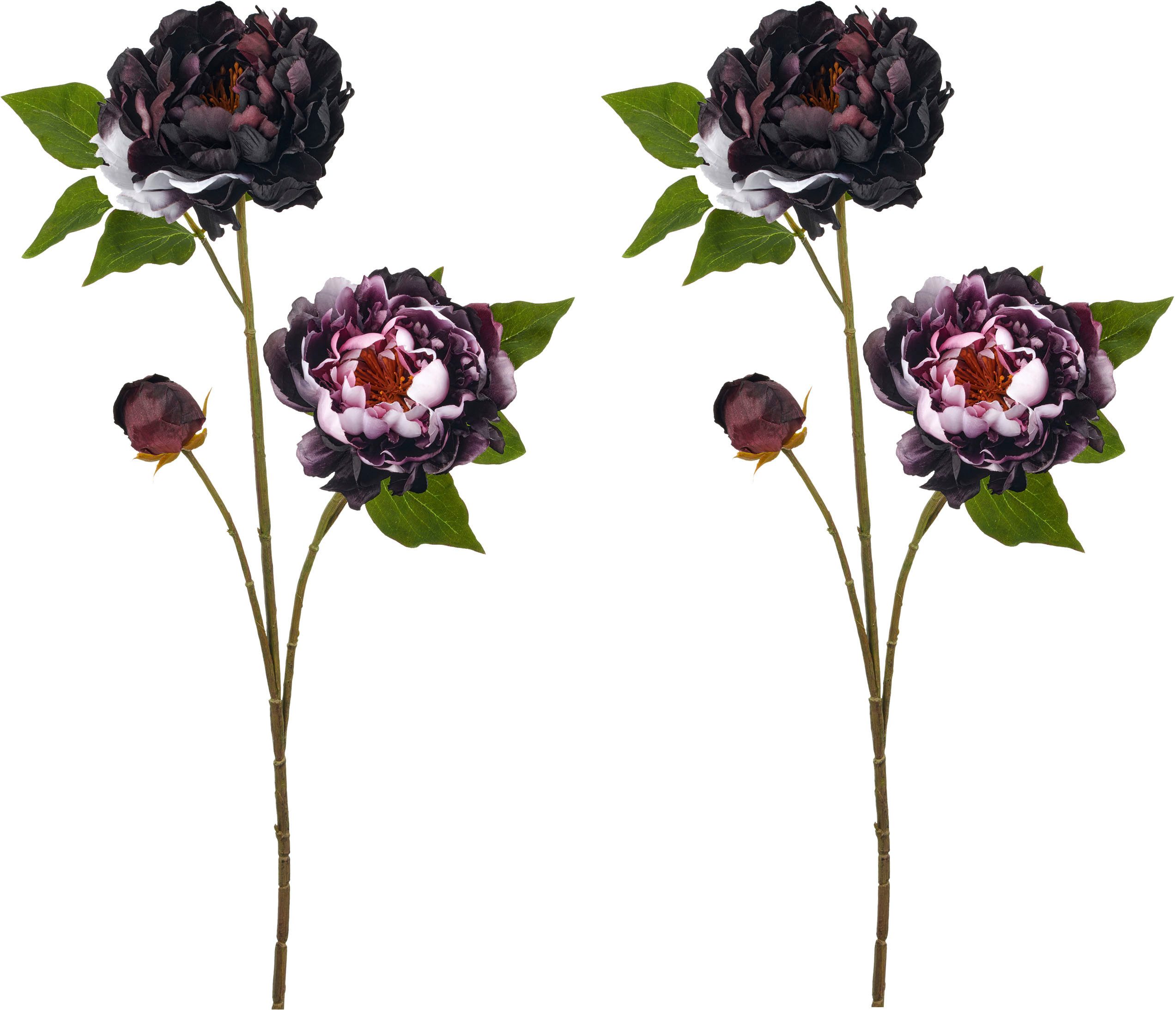 Kunstblume Peonie, Creativ green, Höhe 80 cm, mit traumhaft schöner Blüte