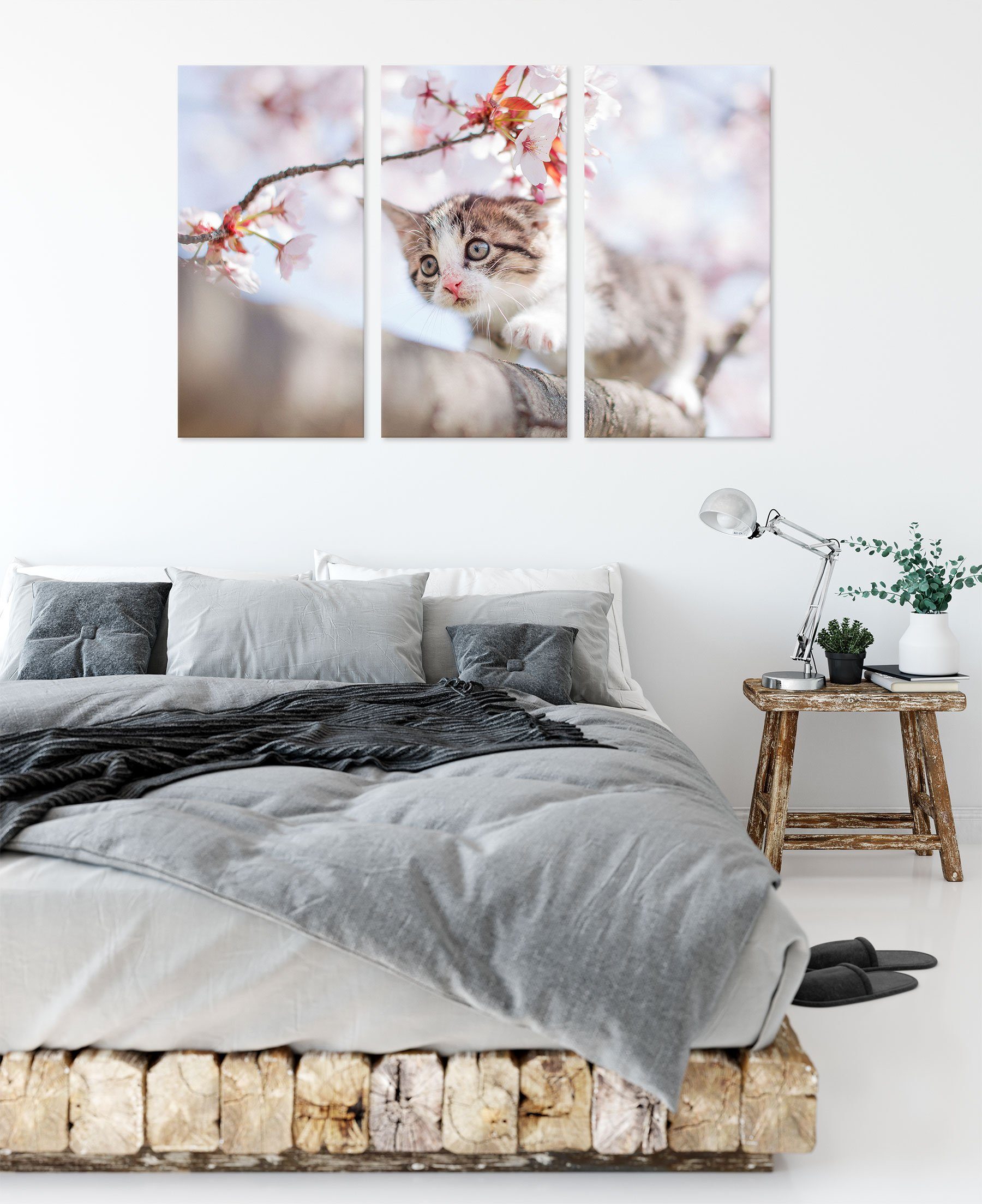 Pixxprint Leinwandbild Süßes Kätzchen inkl. Zackenaufhänger im 3Teiler Kirschbaum, (1 fertig (120x80cm) bespannt, im Kirschbaum Leinwandbild Kätzchen St), Süßes