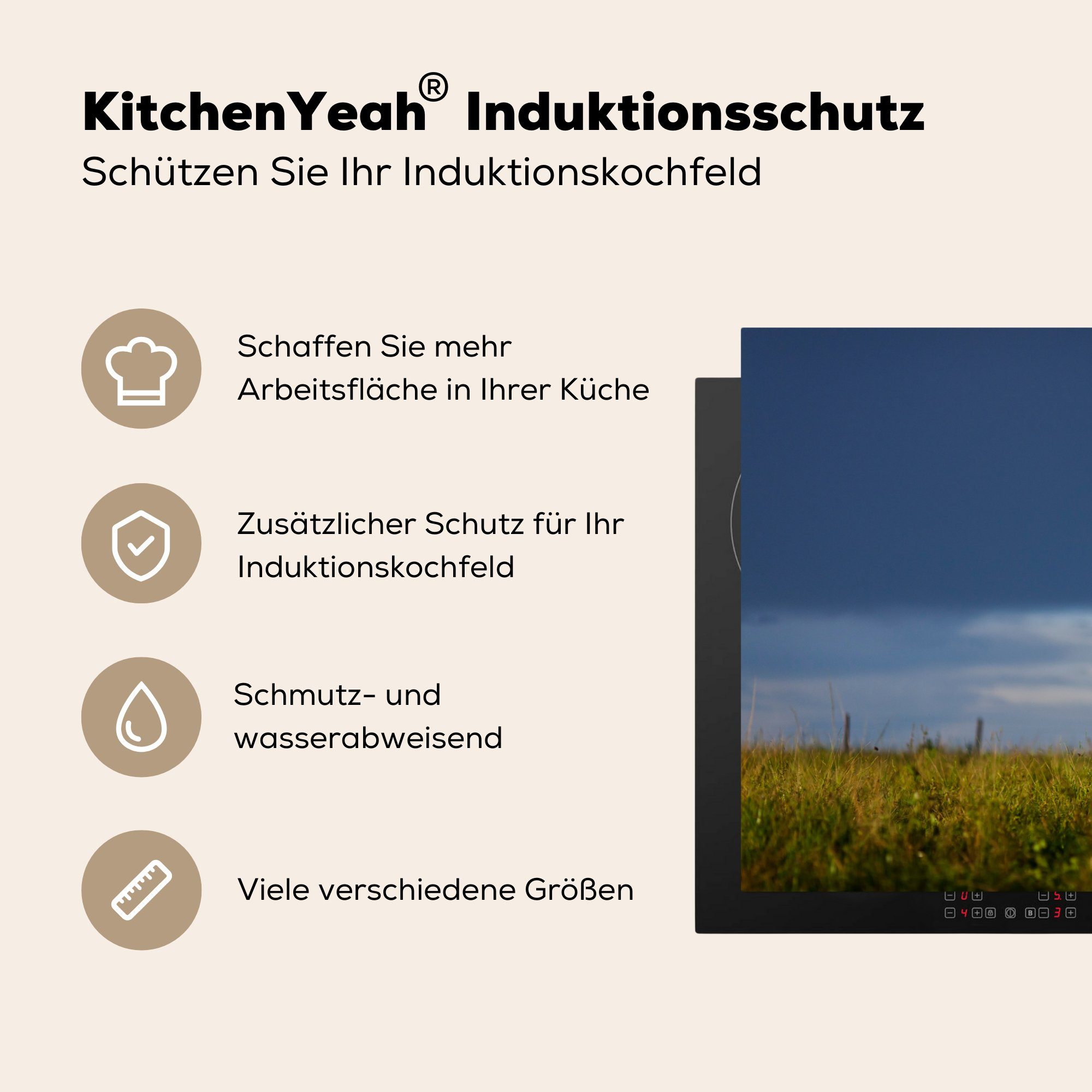 küche, Induktionskochfeld - Vinyl, Gras Schutz cm, 81x52 MuchoWow tlg), Pferde Fohlen, (1 Ceranfeldabdeckung Herdblende-/Abdeckplatte für - die