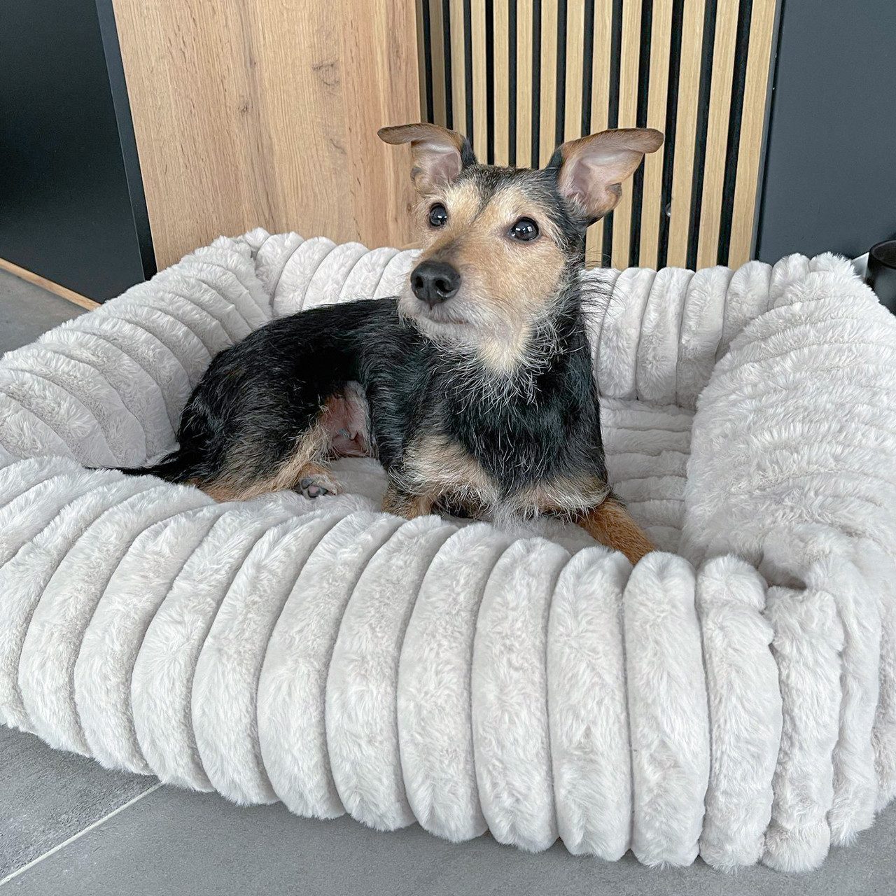 Wallace & Jones Tierbett Hundebett Mary, Hundekörbchen, weich, Breitcord Optik