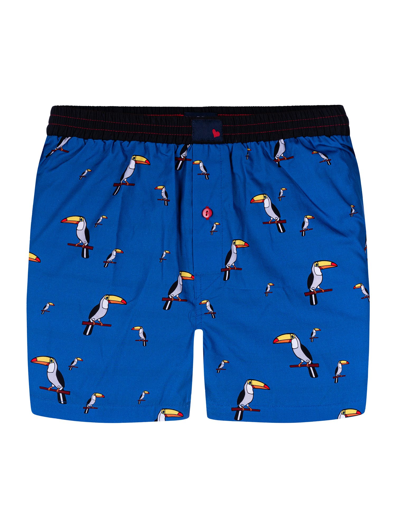 BLUE TUCAN