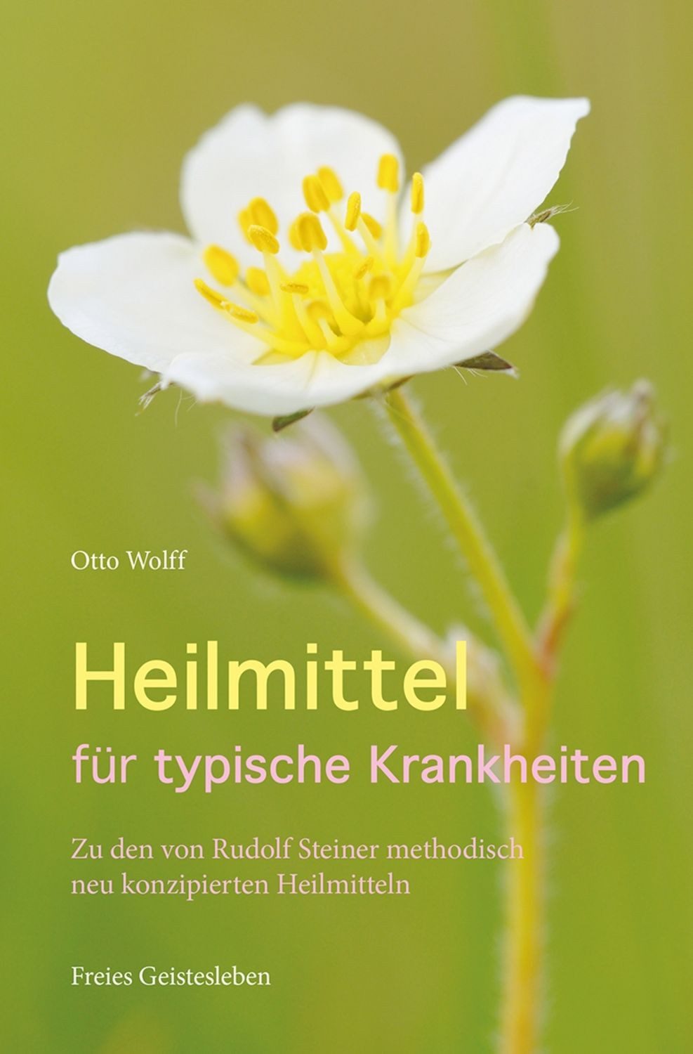 Heilmittel für typische Krankheiten / Otto Wolff