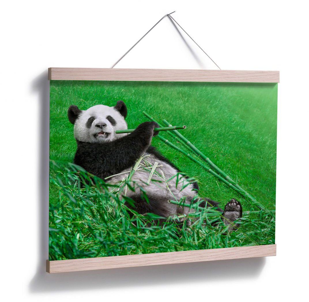 Wall-Art Poster Panda, Bambus St), Waldtiere Wandposter Wandbild, Bild, Poster, (1 Tiere