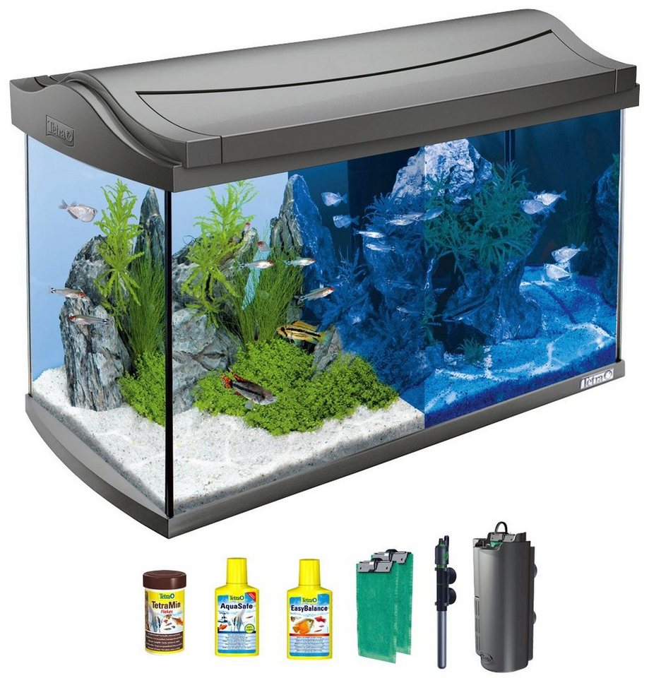 Tetra LED 60 cm, Aquarium AquaArt l Discovery 61,5x34x43,5 Line, BxTxH: