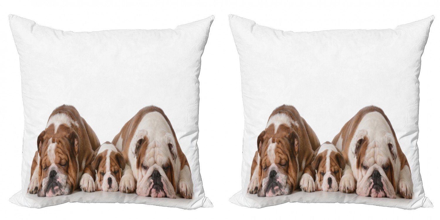 Kissenbezüge Modern Accent Doppelseitiger Digitaldruck, Abakuhaus (2 Stück), Bulldogge Foto von 3 Generationen Hunde