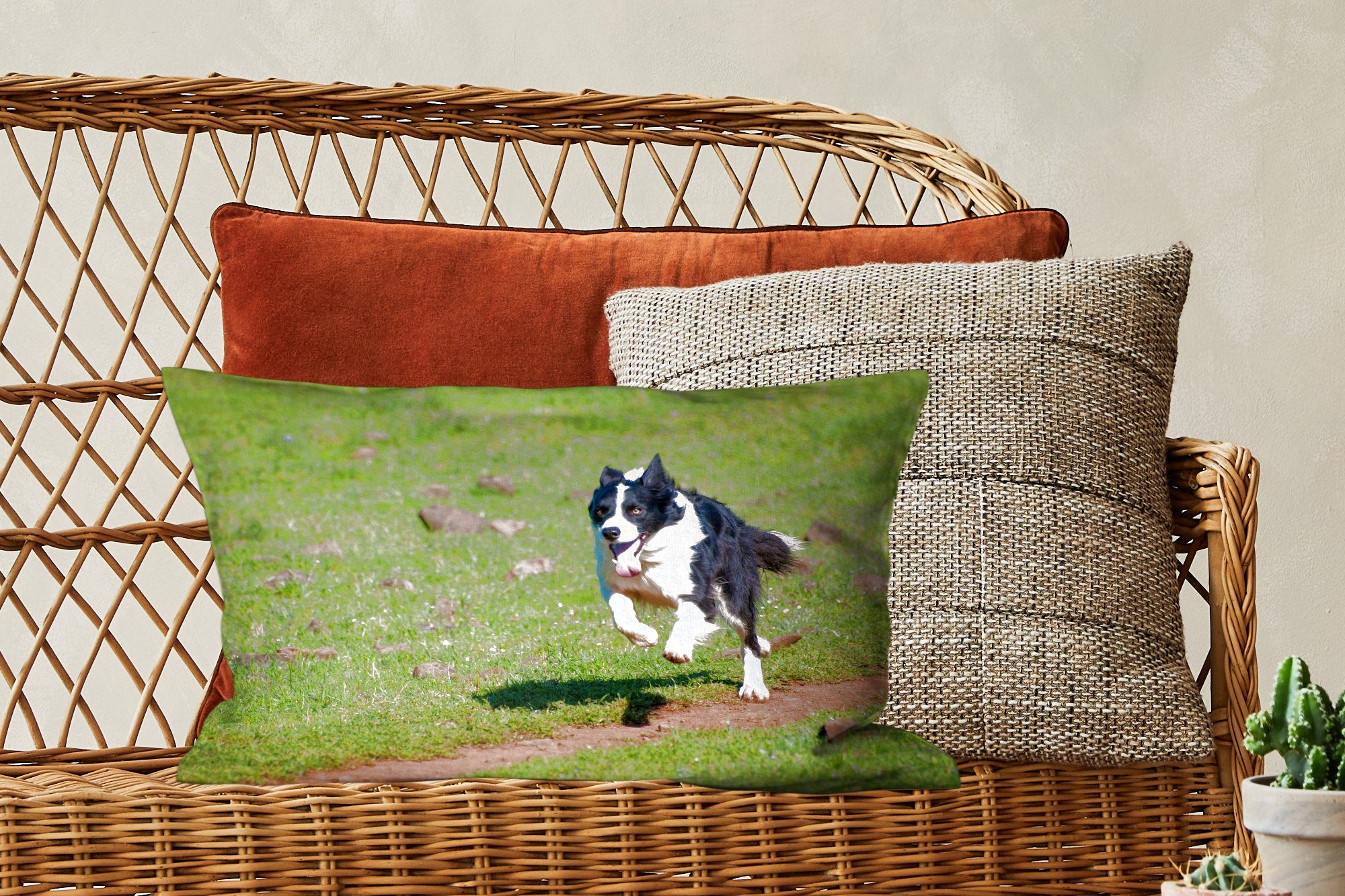 läuft Zierkissen, über Wohzimmer Dekoration, Ein Border Collie das Dekokissen mit Schlafzimmer Feld, Dekokissen aktiver MuchoWow Füllung,