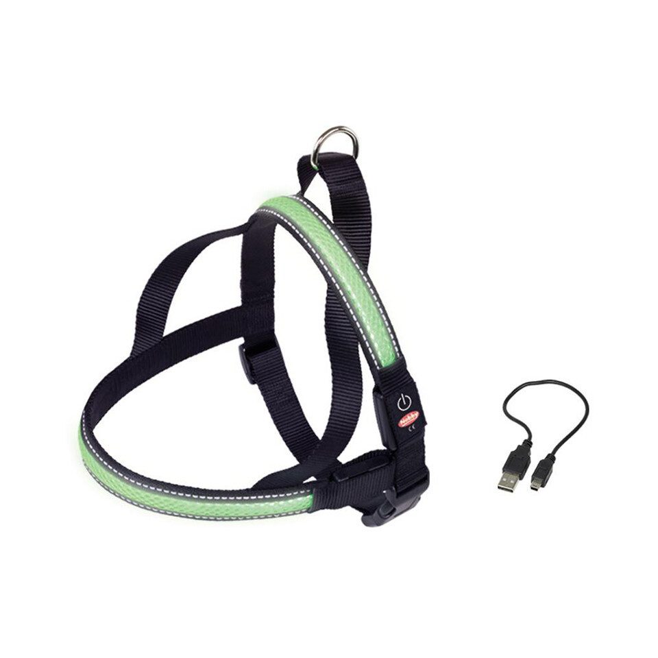 Nobby Hunde-Leuchtgeschirr Norweger Geschirr Flash Mesh grün