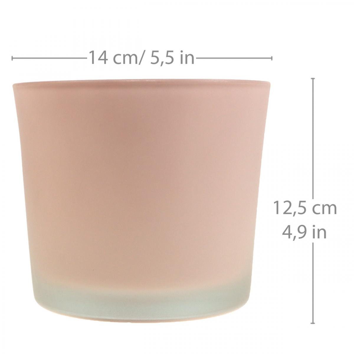 Florists Products Tischvase Eleganter Glas-Übertopf für stilvolle Dekorationen