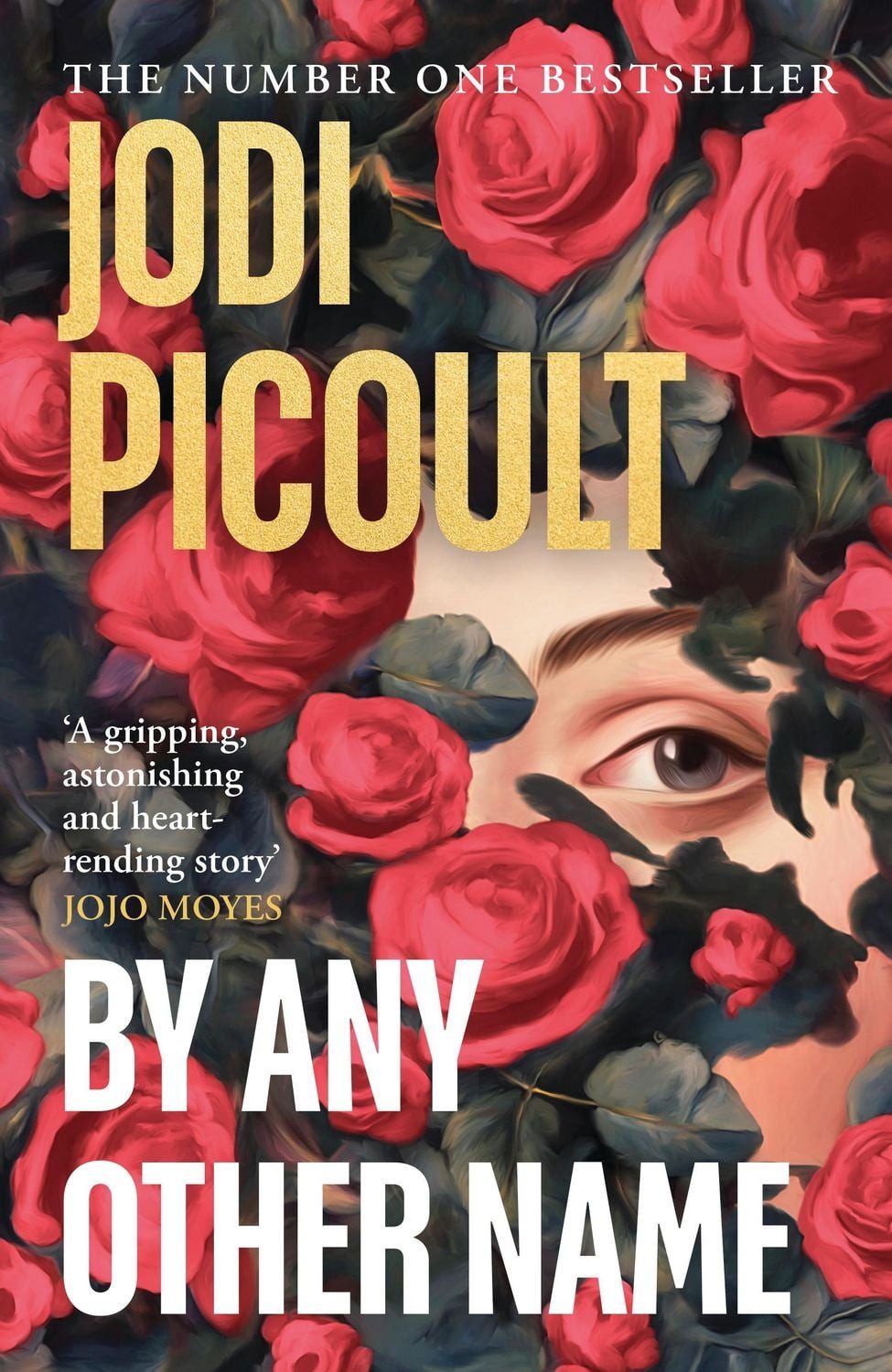 Belletristik By Any Other Name Jodi Picoult