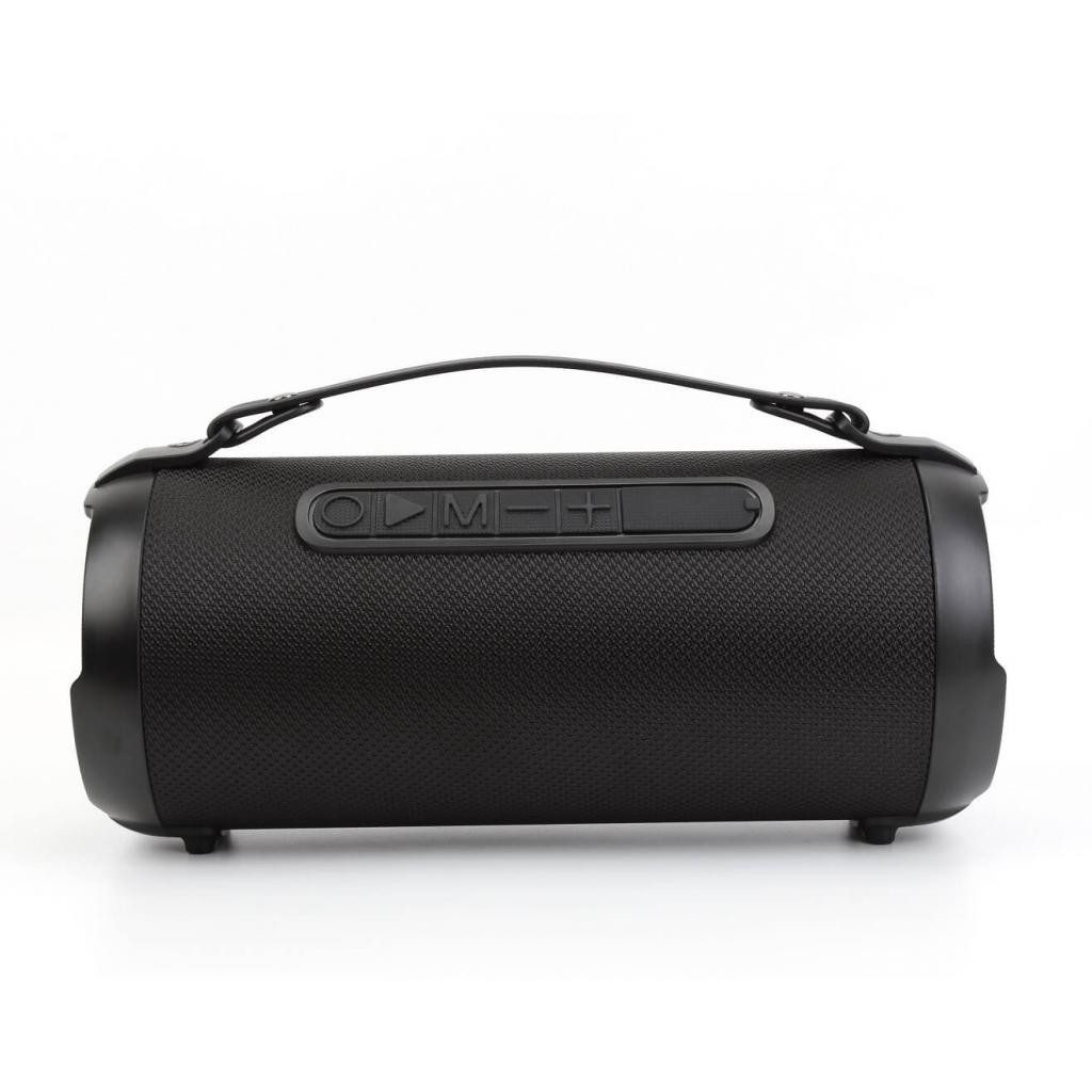 Denver BTG-408 Mobiler Bluetooth Lautsprecher in schwarz Bluetooth-Lautsprecher (Bluetooth, 9.5 W, TWS-Funktion (kopple 2 Lautprecher, für einen Stereoklang)