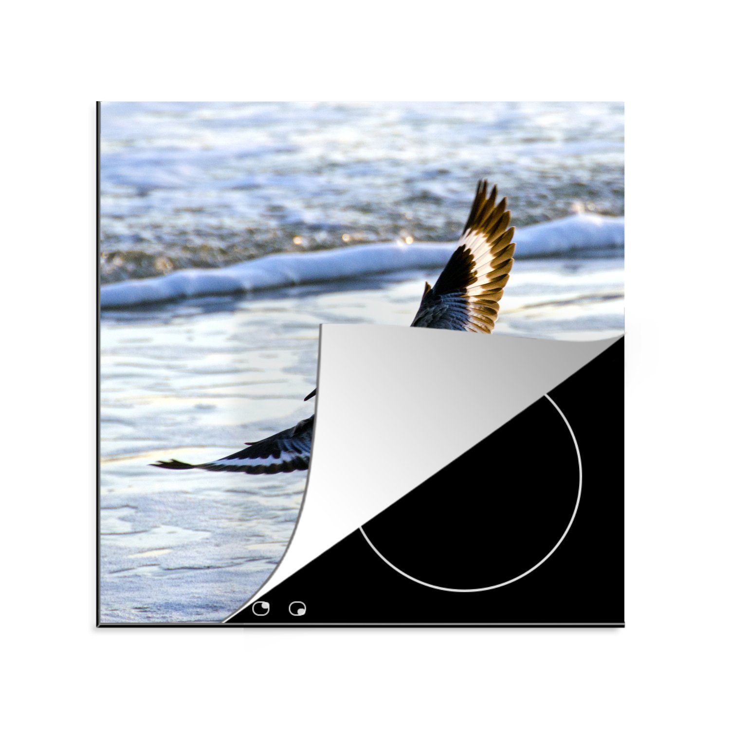 MuchoWow Herdblende-/Abdeckplatte Ein Willet landet am Strand, Vinyl, (1 tlg), 78x78 cm, Ceranfeldabdeckung, Arbeitsplatte für küche