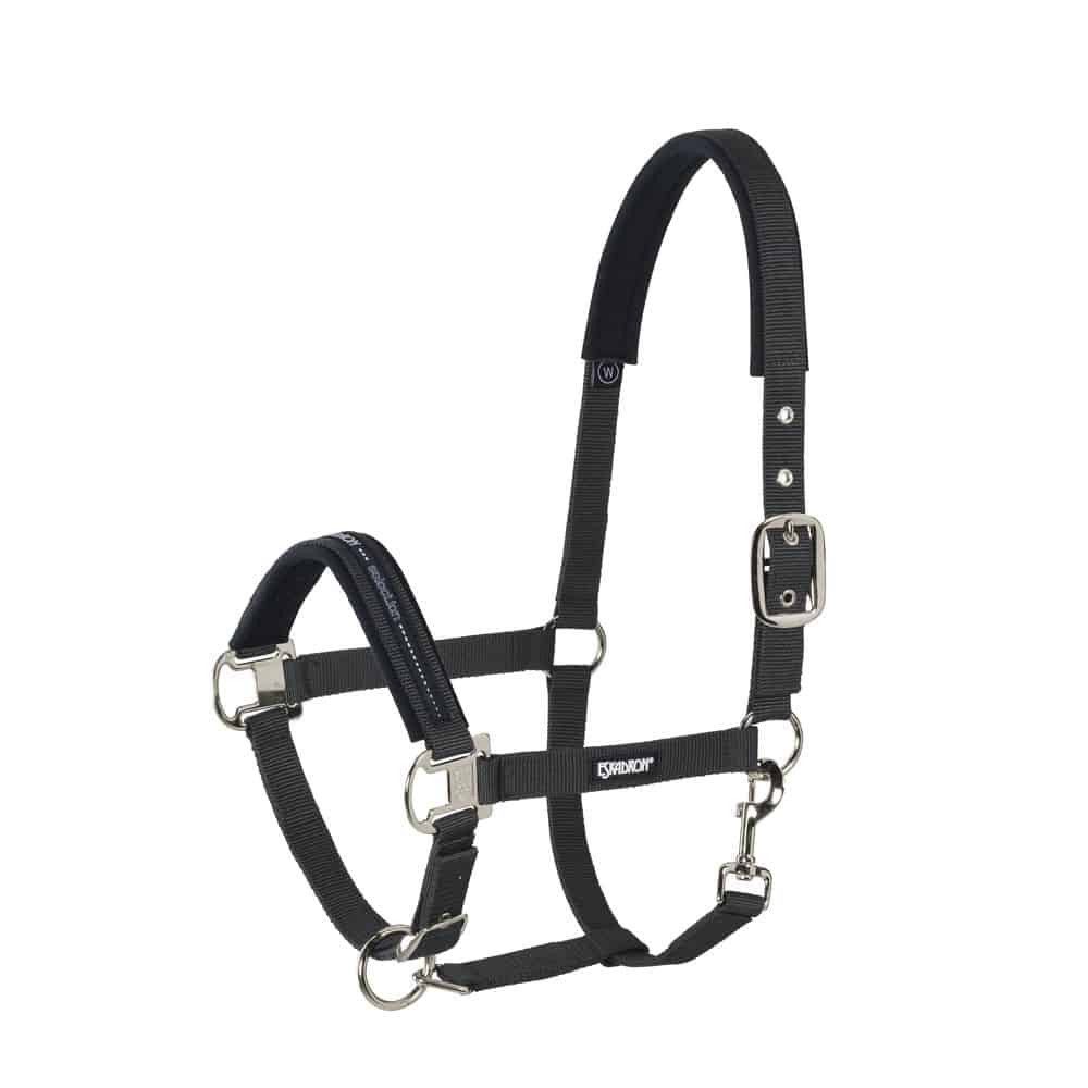 Eskadron Halfter Halfter Pin Buckle