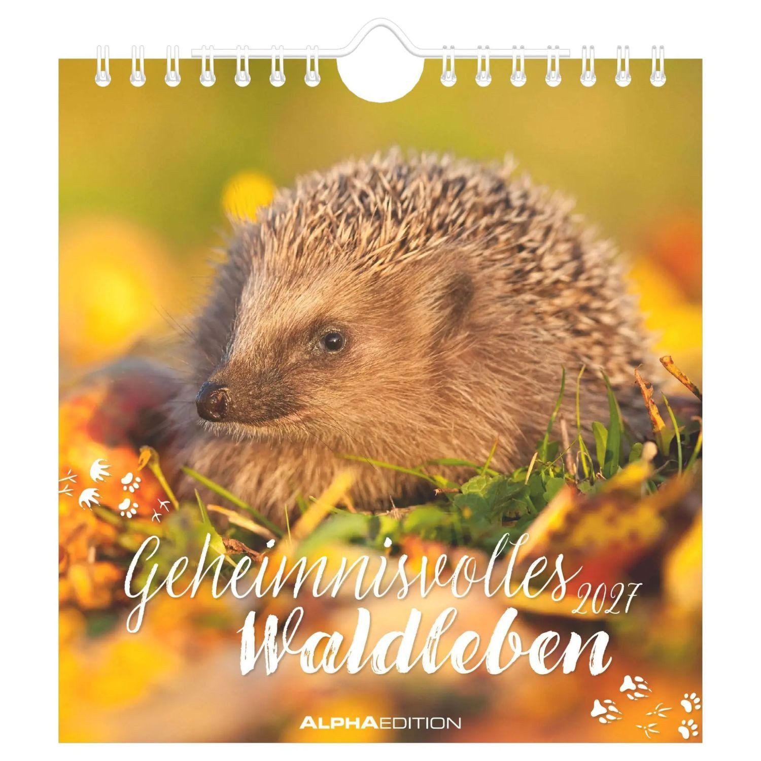 NEUMANN Wandkalender Geheimnisvolles Waldleben 2027