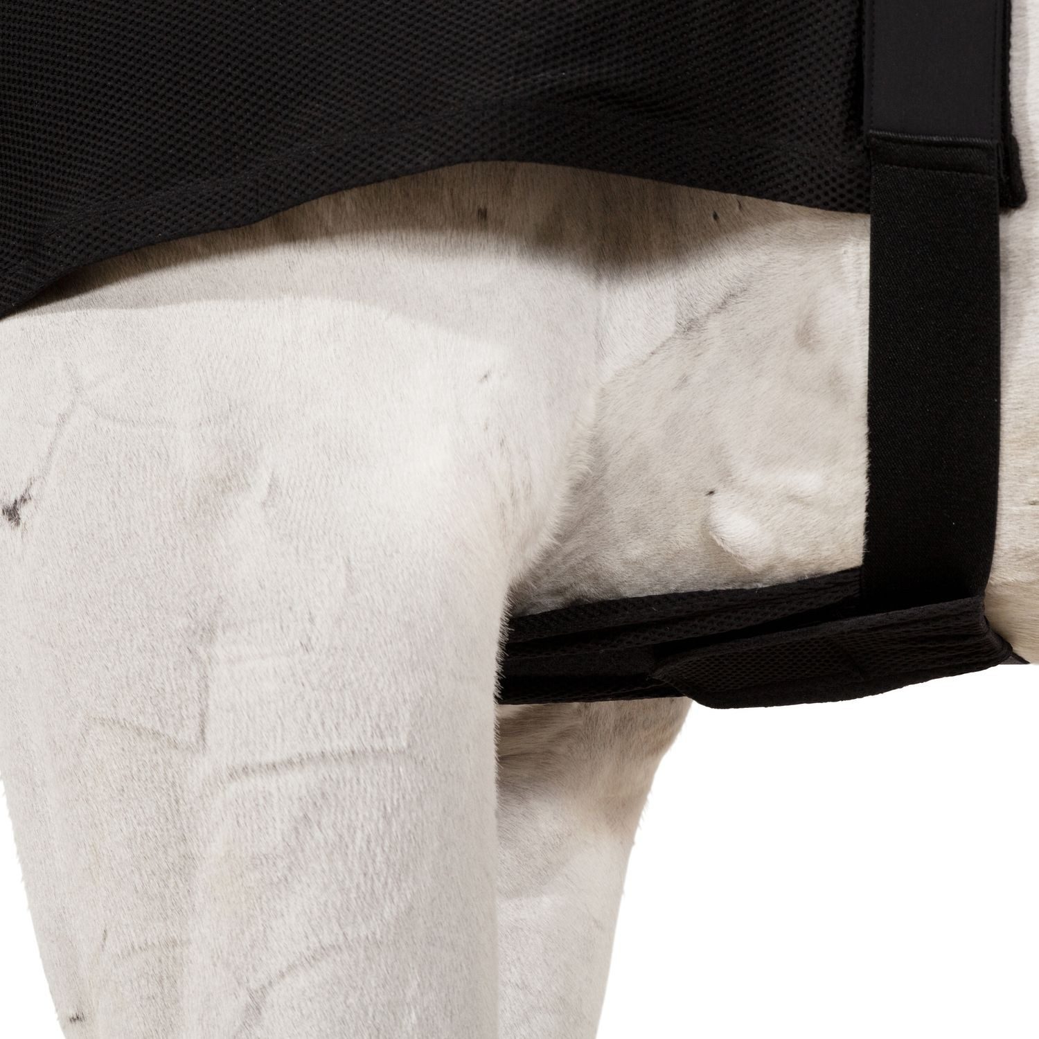 Eskadron Pferde-Stalldecke Eskadron Basic Chest Protector Dynairmesh Brustschutz