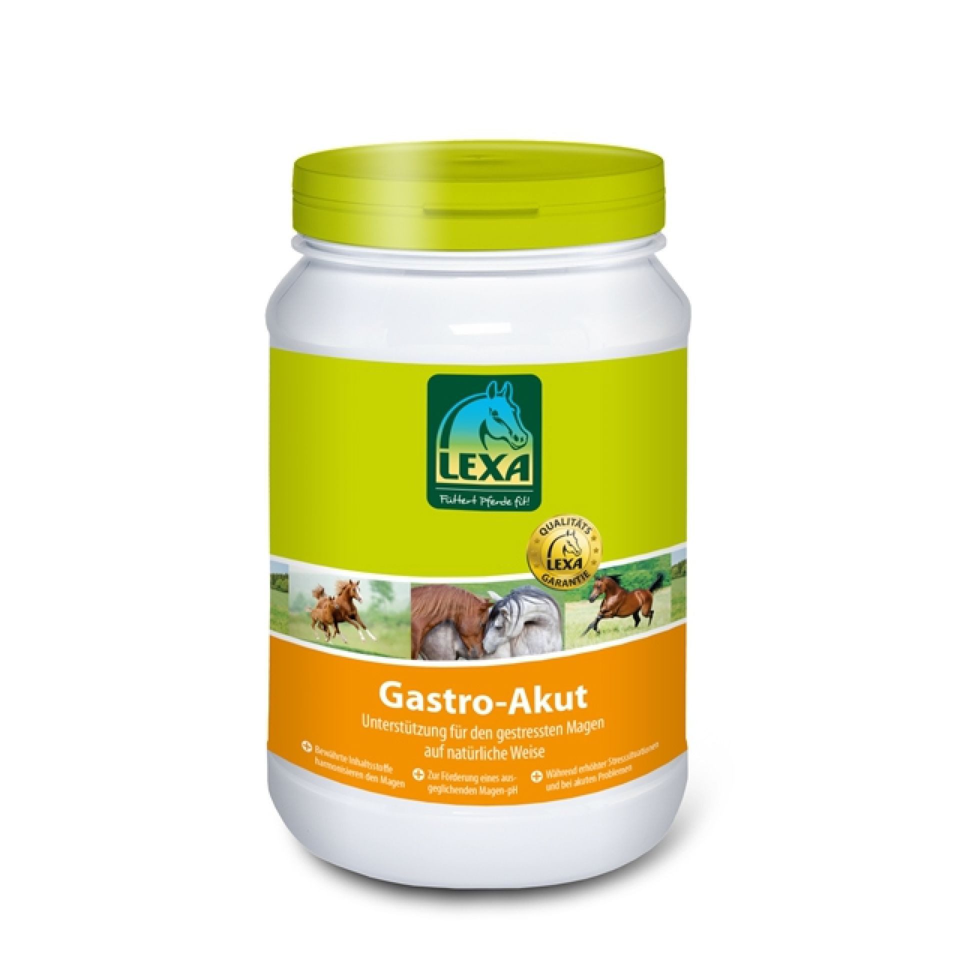 Tierpräparate Lexa - Gastro Akut - 1kg