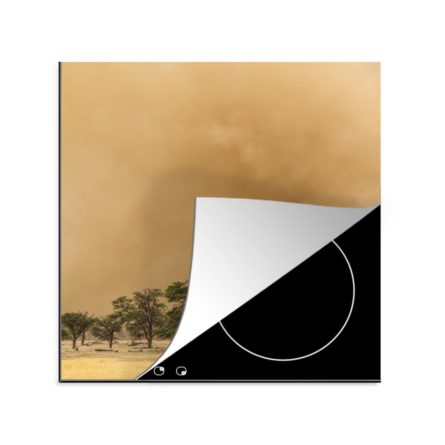 MuchoWow Herdblende-/Abdeckplatte Streifengnu am Rande eines Sandsturms im Kgalagadi Transfrontier Park, Vinyl, (1 tlg), 78x78 cm, Ceranfeldabdeckung, Arbeitsplatte für küche