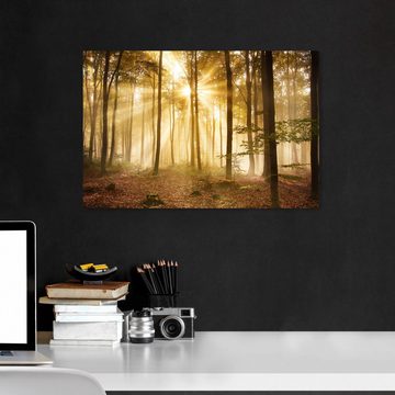 wandmotiv24 Leinwandbild Wald am Morgen, Landschaft (1 St), Wandbild, Wanddeko, Leinwandbilder in versch. Größen