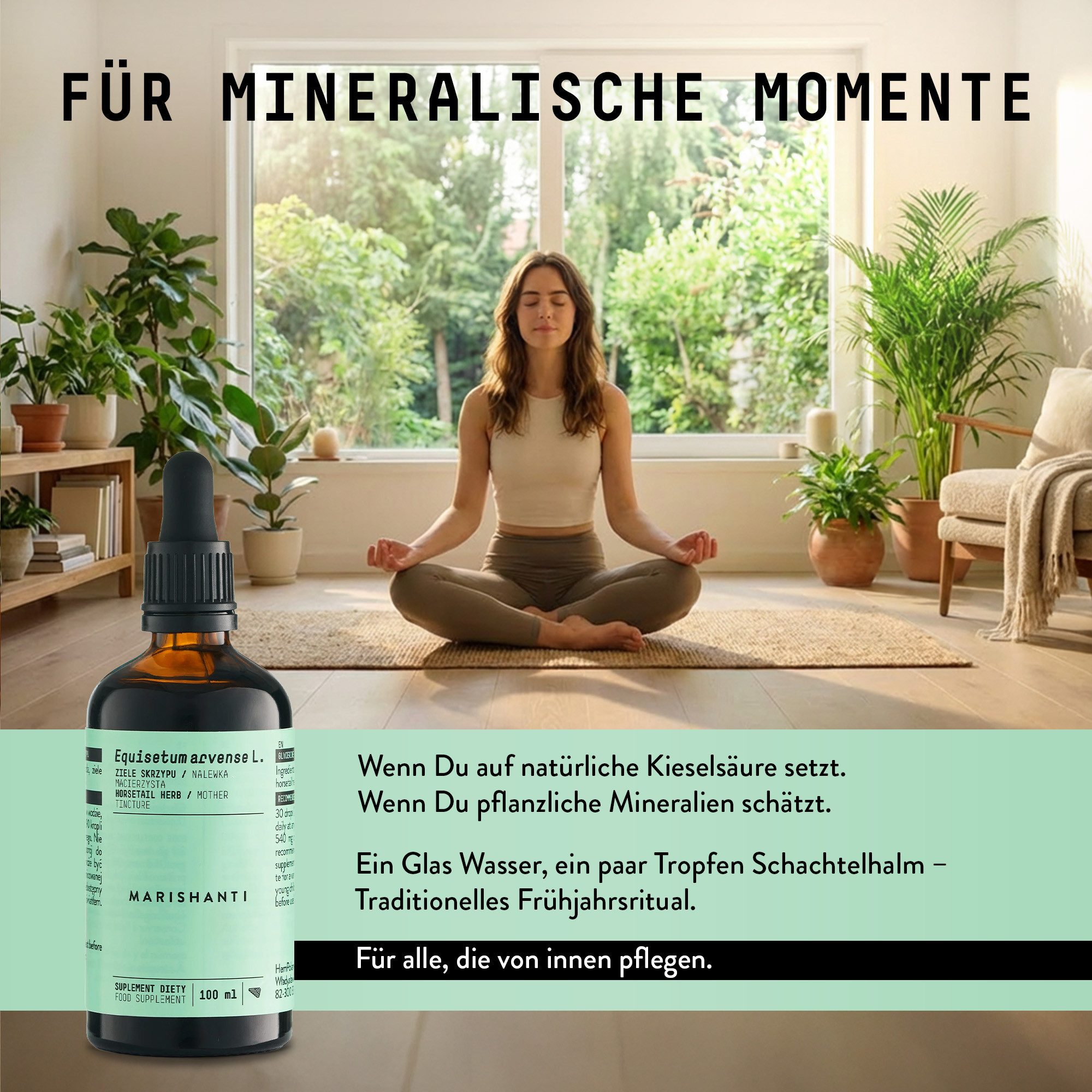 MARISHANTI Schachtelhalm Extrakt – alkoholfreie Tropfen, als pflanzliche Tinktur aus (Equisetum arvense) à 100 ml, – Vegan