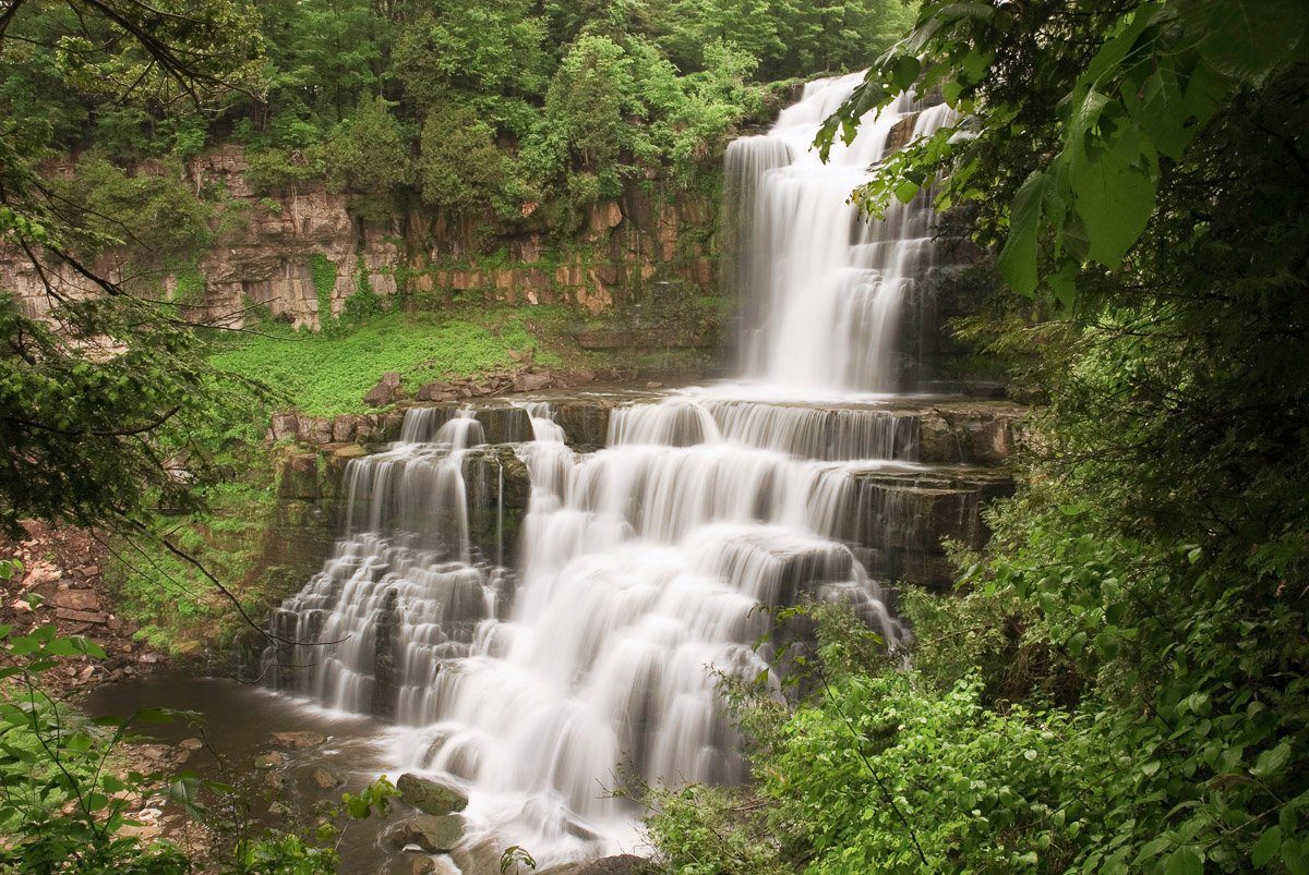 Papermoon Wasserfall im Wald Fototapete