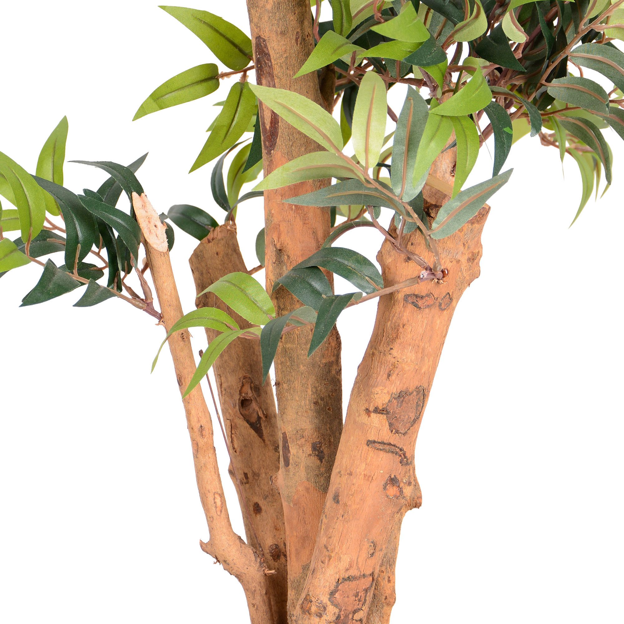 Kunstpflanze Kunstpflanze Ficus mit Echtholzstamm, UNUS HOME, Höhe 80 cm, Künstlicher Baum groß, Kunststoffpflanze – Bild 4 von 5