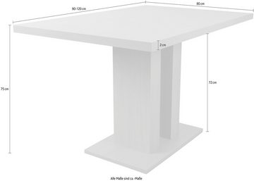 HOFMANN LIVING AND MORE Essgruppe 4tlg. Tischgruppe, (Spar-Set, 4-tlg., 4tlg. Tischgruppe), Stühle montiert