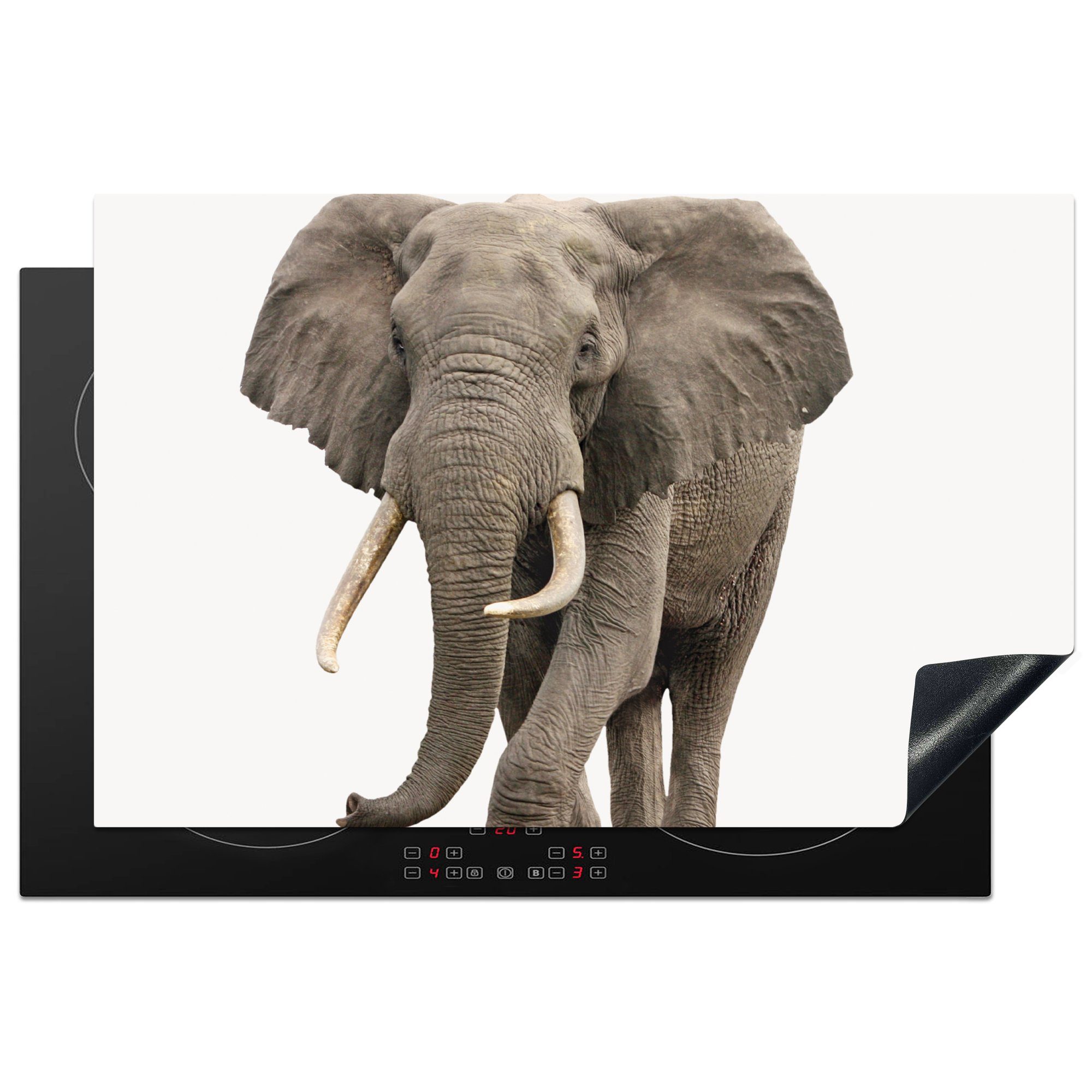 MuchoWow Herdblende-/Abdeckplatte Elefant - Kinder - Tiere - Mädchen, Vinyl, (1 tlg), 81x52 cm, Ceranfeldabdeckung, Arbeitsplatte für küche