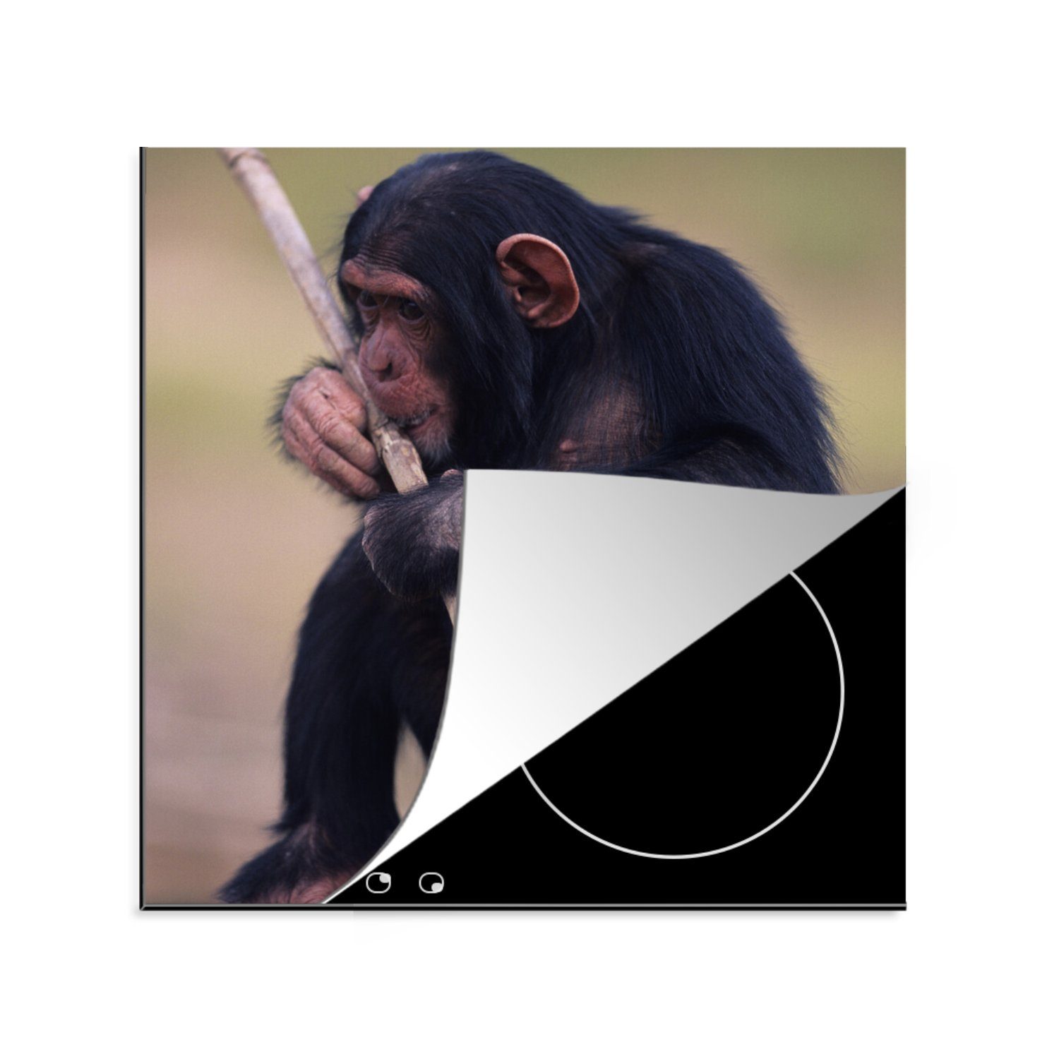 MuchoWow Herdblende-/Abdeckplatte Schimpanse - Jungtier - Zweige, Vinyl, (1 tlg), 78x78 cm, Ceranfeldabdeckung, Arbeitsplatte für küche