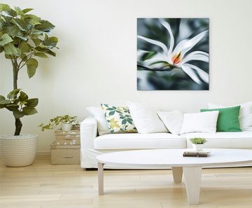 Sinus Art Leinwandbild Naturfotografie – Weiße Magnolie auf Leinwand