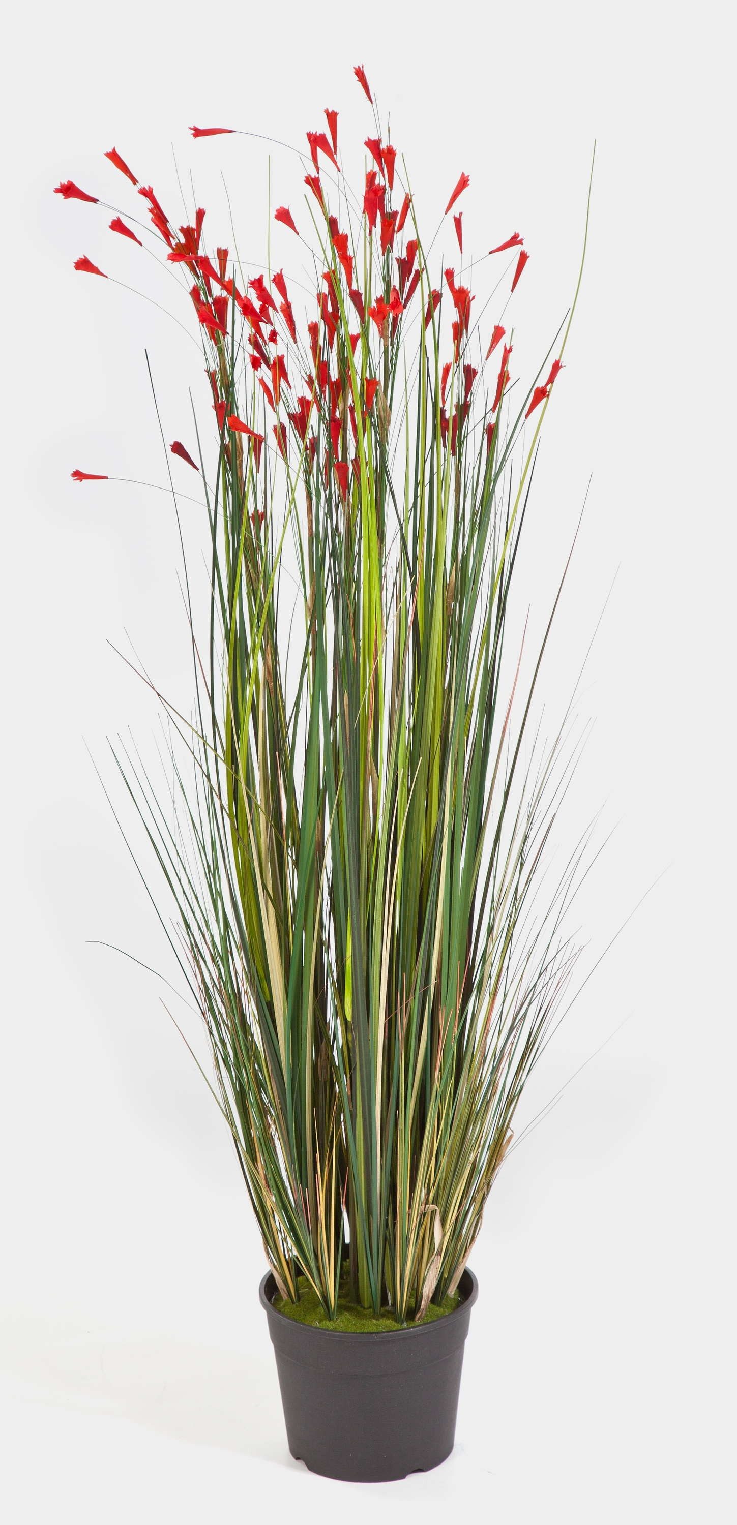 Kunstgras Künstliches Gras, 115 rot Blüten, 700 Halmen, 120cm - Deko Grasbündel, artplants, Höhe 120.0 cm