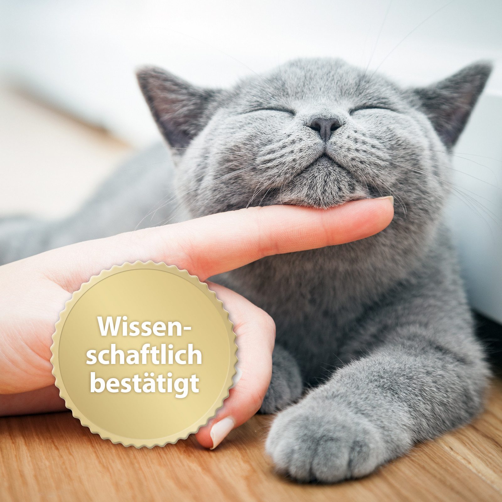 Felisept Katzen-Halsband Felisept Home Comfort Beruhigungs-Halsband 35 cm