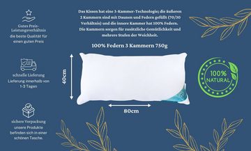 Daunenkissen 750 gr, 3-KAMMERN KISSEN, 40 x 80 cm, Sandaro Home, Bezug: Baumwolle