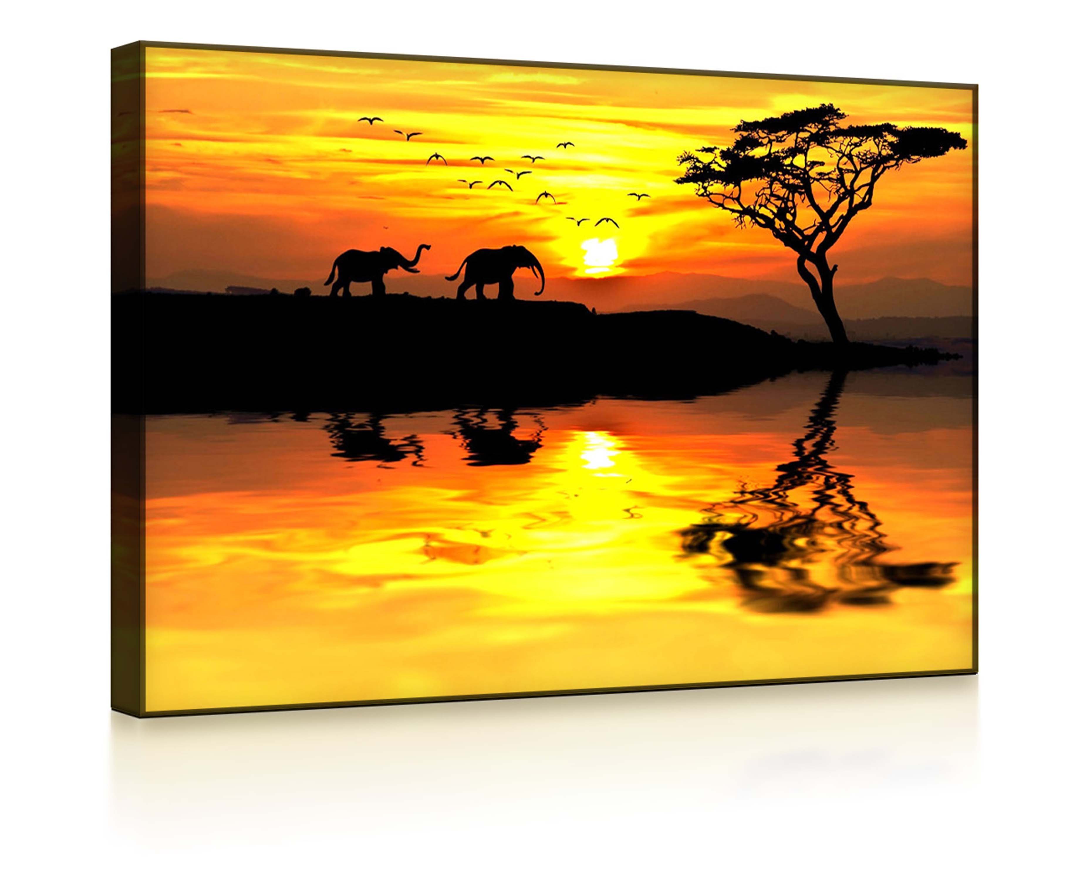 LED-Bild Elefanten in afrikanischer Steppe front lighted / 60x40cm