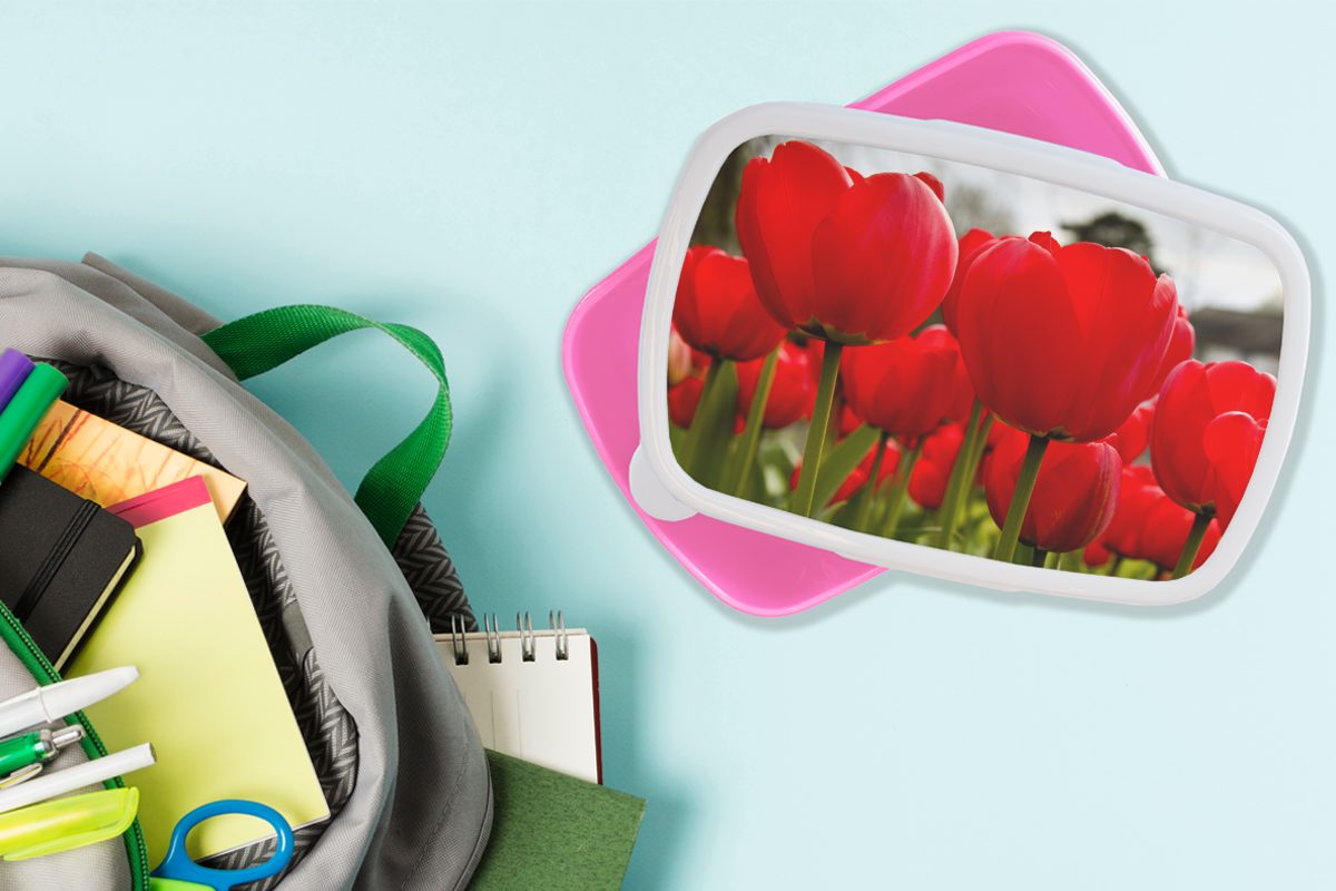 Nahaufnahme Kunststoff, Snackbox, für Erwachsene, Brotdose rosa Tulpen, Mädchen, von Brotbox roten Kunststoff MuchoWow Kinder, (2-tlg), Lunchbox