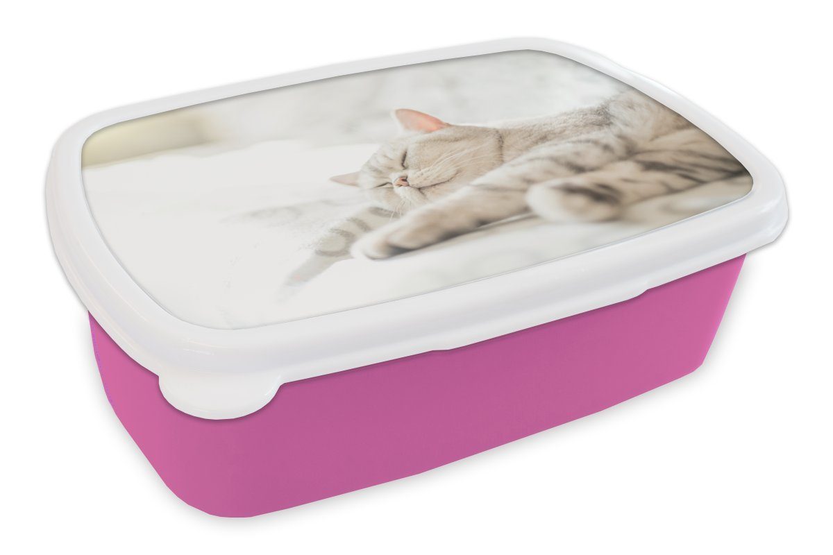 rosa Brotdose Kunststoff, Kinder, auf Kunststoff Lunchbox für Erwachsene, (2-tlg), Sofa, schläft Brotbox Snackbox, dem Mädchen, Katze Die MuchoWow