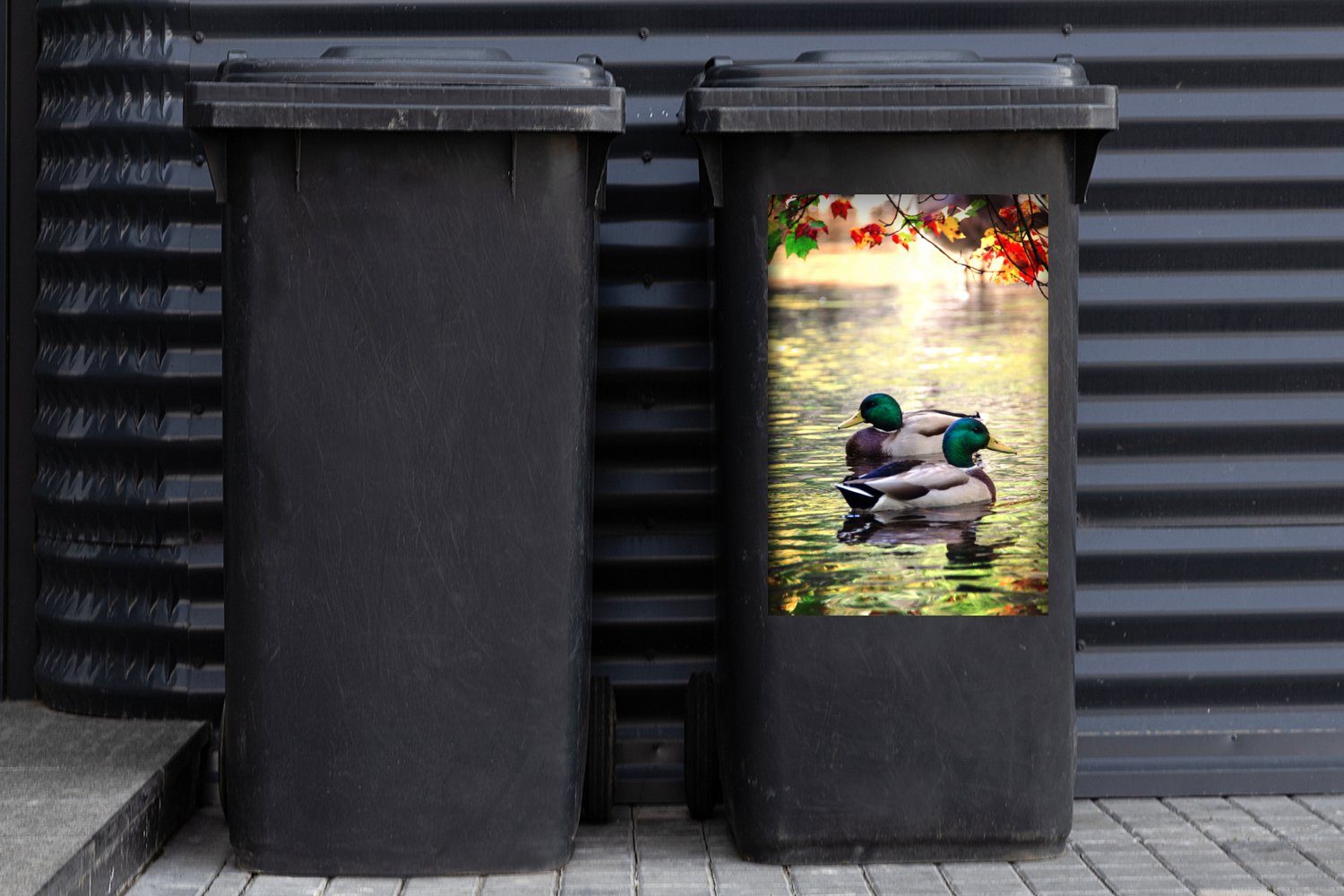 MuchoWow Wandsticker Ente - Herbst Sticker, Mülltonne, St), Abfalbehälter Wasser - Container, Mülleimer-aufkleber, (1