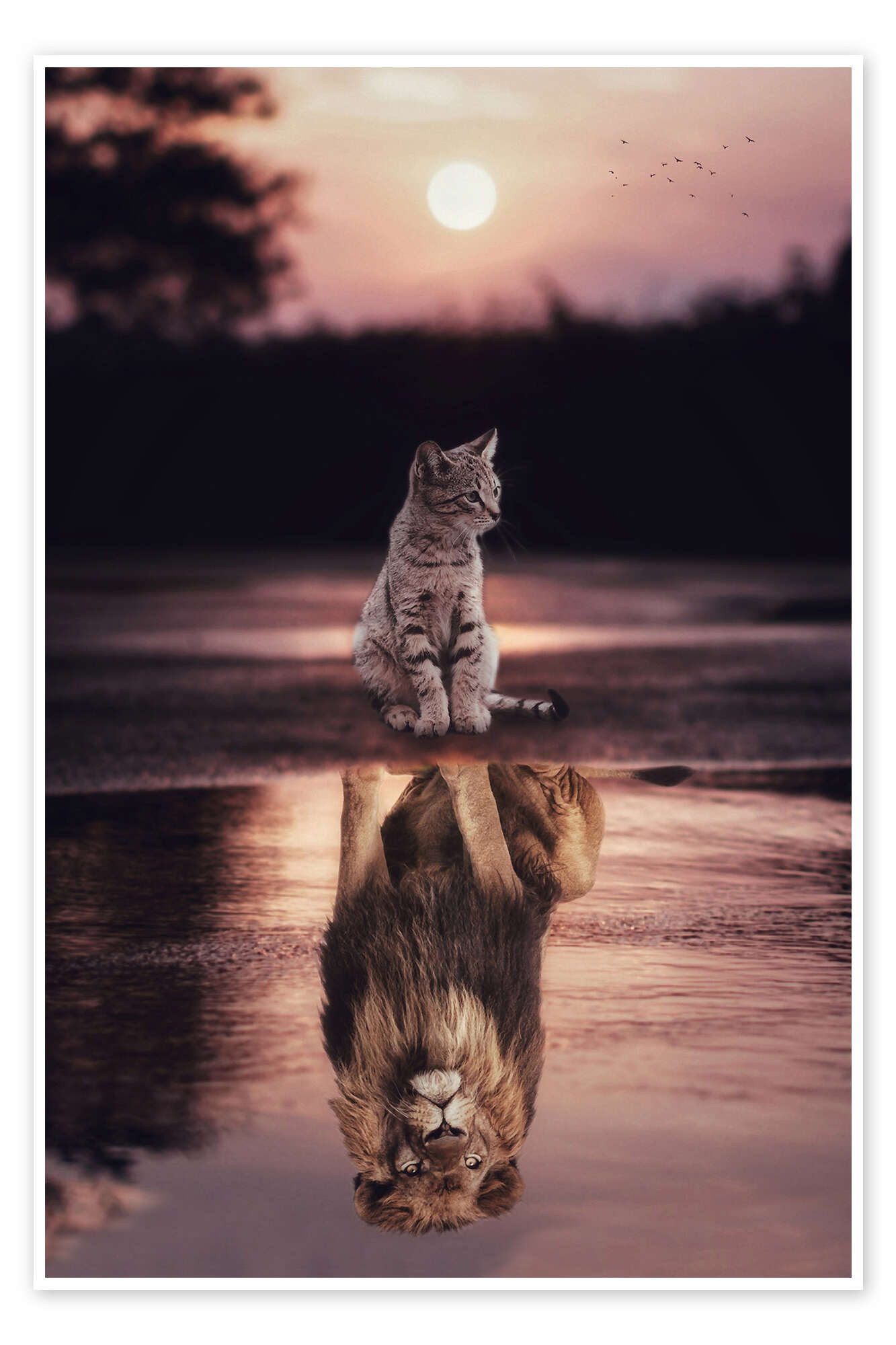 Posterlounge Wandbild Dream Big - Kleine Katze wird zum Löwen, Gen Z, erhältlich als Poster, Leinwandbild, Wandsticker oder Acrylglasbild
