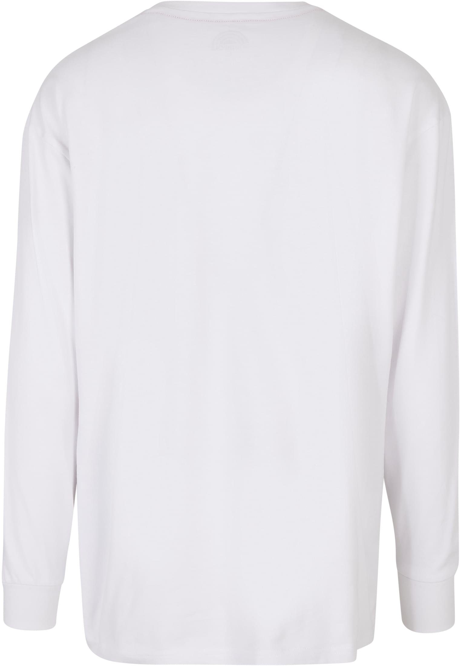 (1-tlg) Southpole Longsleeve Herren white Script Southpole T-Shirt