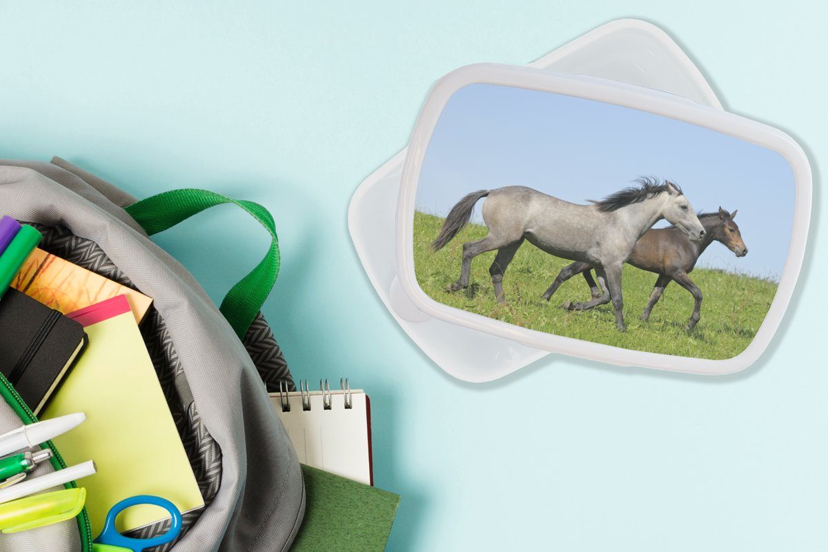 Jungs Kunststoff, MuchoWow - Lunchbox Brotbox (2-tlg), für Gras, und - und weiß für Mädchen Pferde Kinder Erwachsene, Brotdose, Tiere