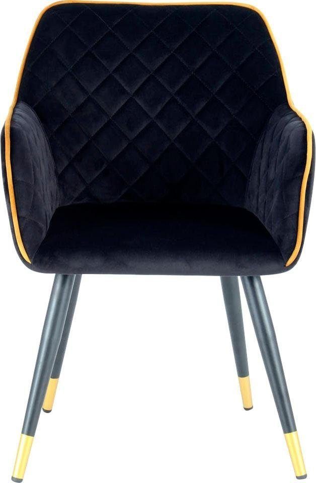 elegant, 525, Stuhl Amino glamourös schwarz/gold Bezug, Kayoom samtweicher