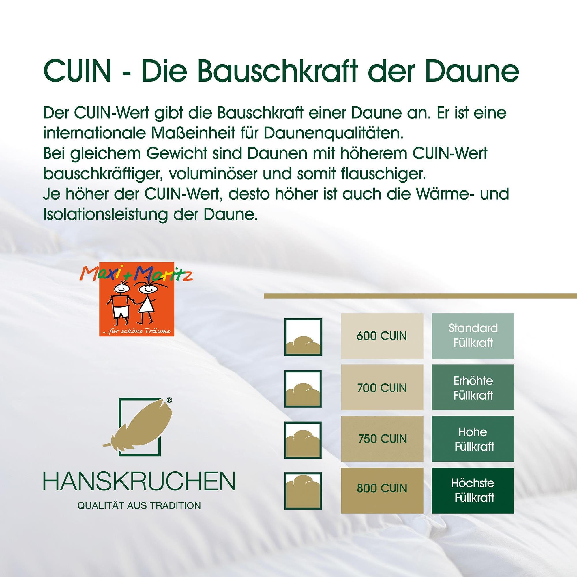 Füllung: Daunenbettdecke, 135 hergestellt HANSKRUCHEN, in allergikerfreundlich Federn, 90% Winter Deutschland, x 10% Daunen, 100 cm,