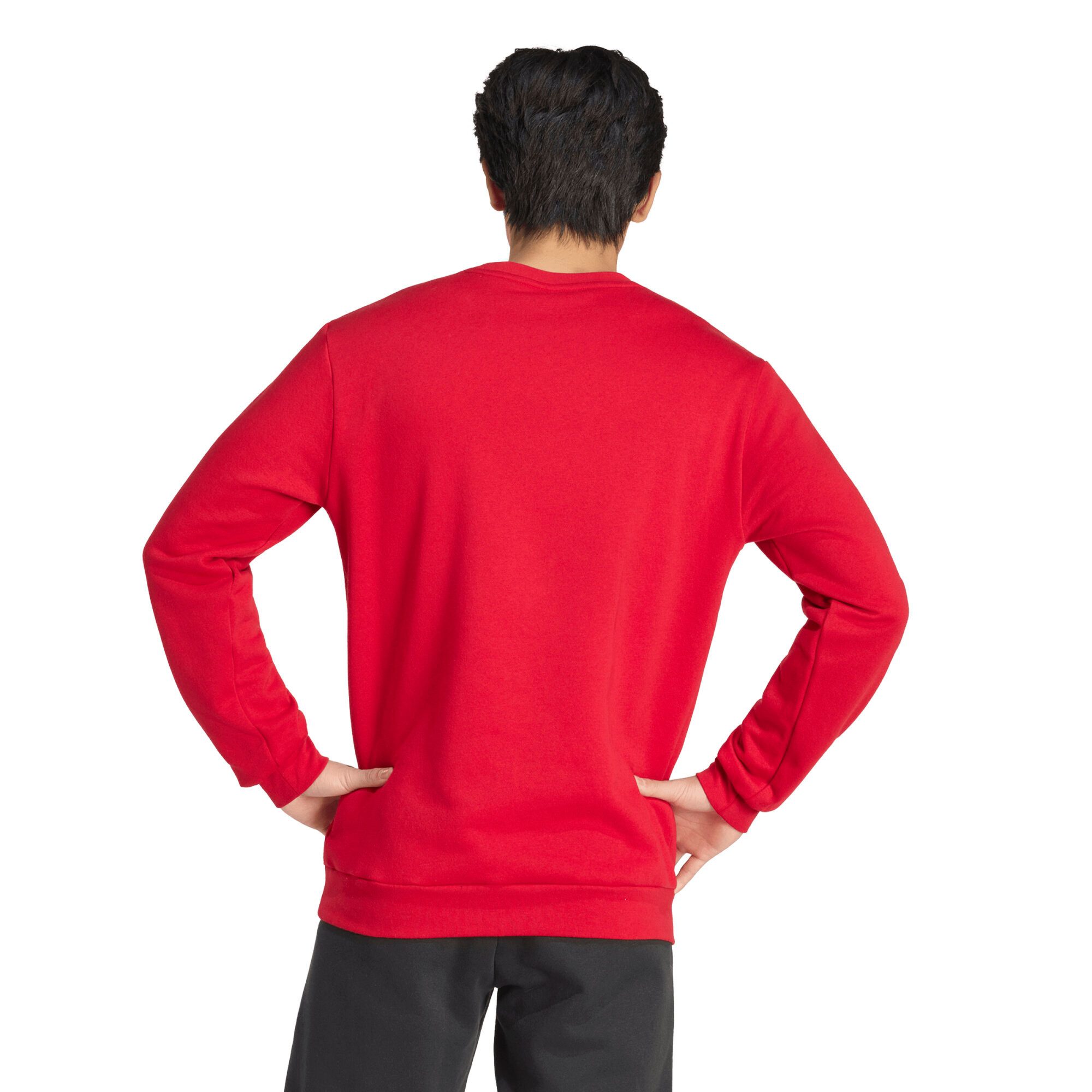 adidas Performance Fleecepullover adidas Herren Pullover Entrada 26 Sweat Top