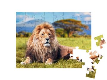 puzzleYOU Puzzle Großer Löwe im Savannengras, 48 Puzzleteile, puzzleYOU-Kollektionen Löwen, Safari, Tiere in Savanne & Wüste