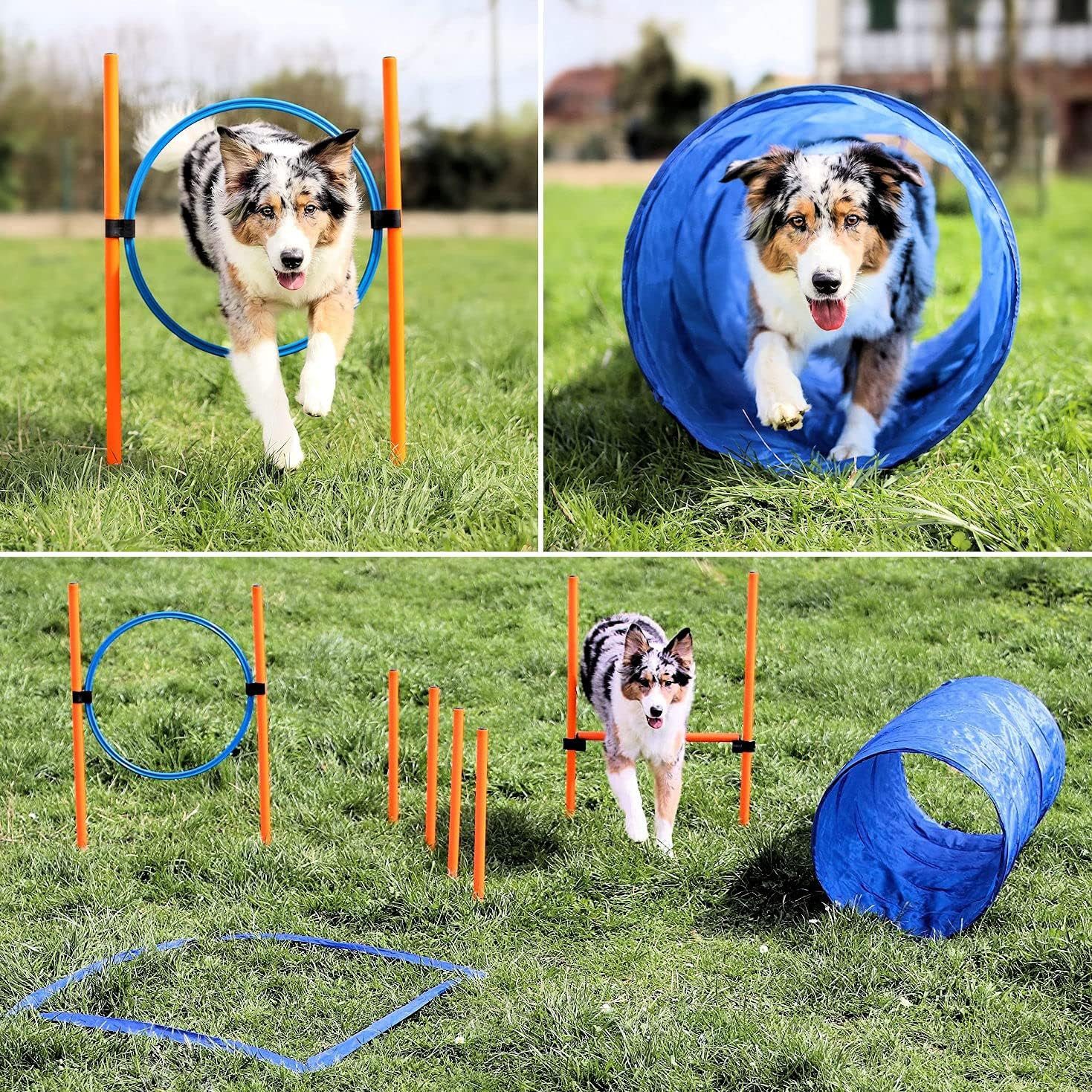 VABIONO Agility-Reifen Agility Set X für mittelgroße und kleine Hunde, Sprungring, Tunnel, Hürde, Slalom- Stangen KOSTENLOSER VERSAND